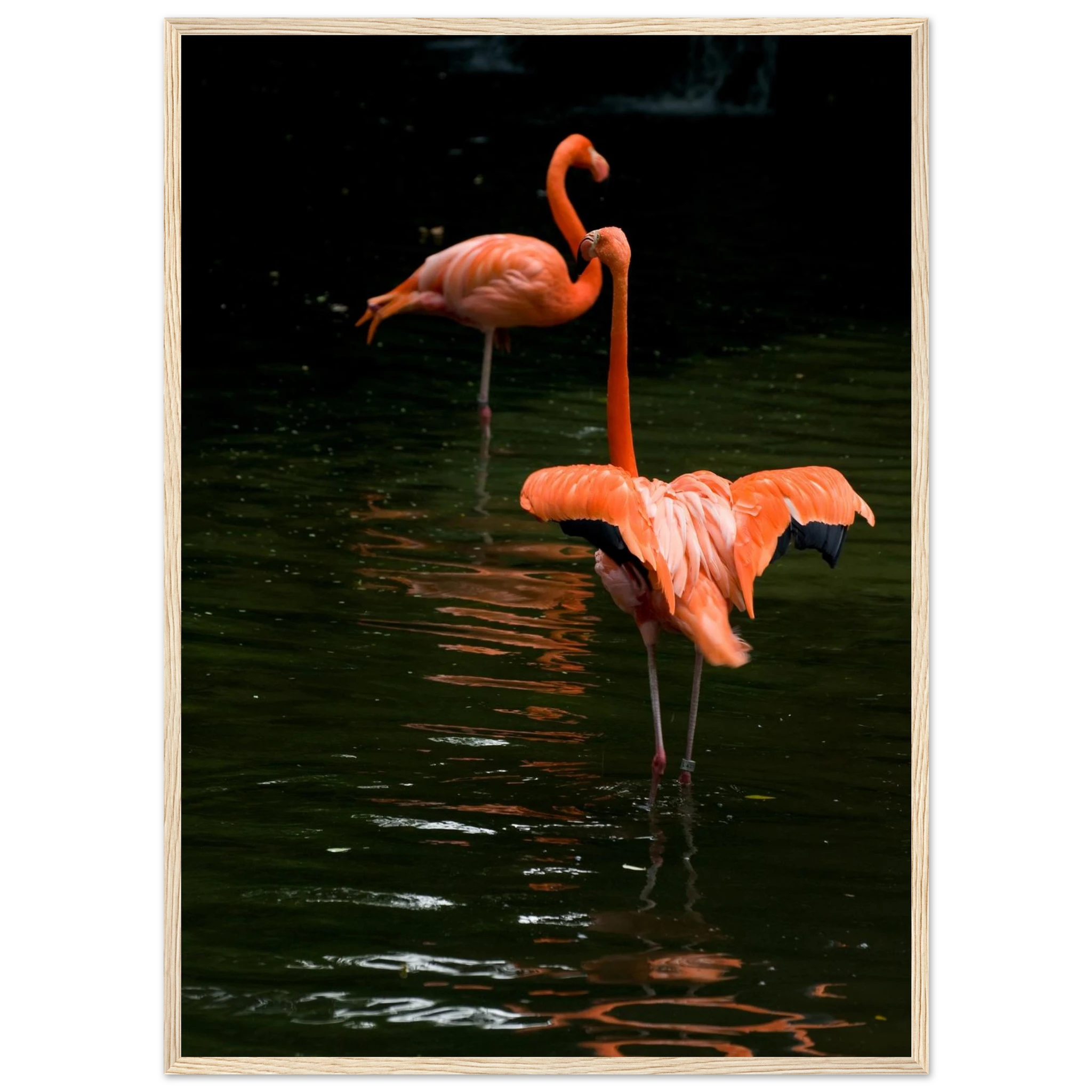 5d339962-c582-4b6d-b375-ebb0c6117e01