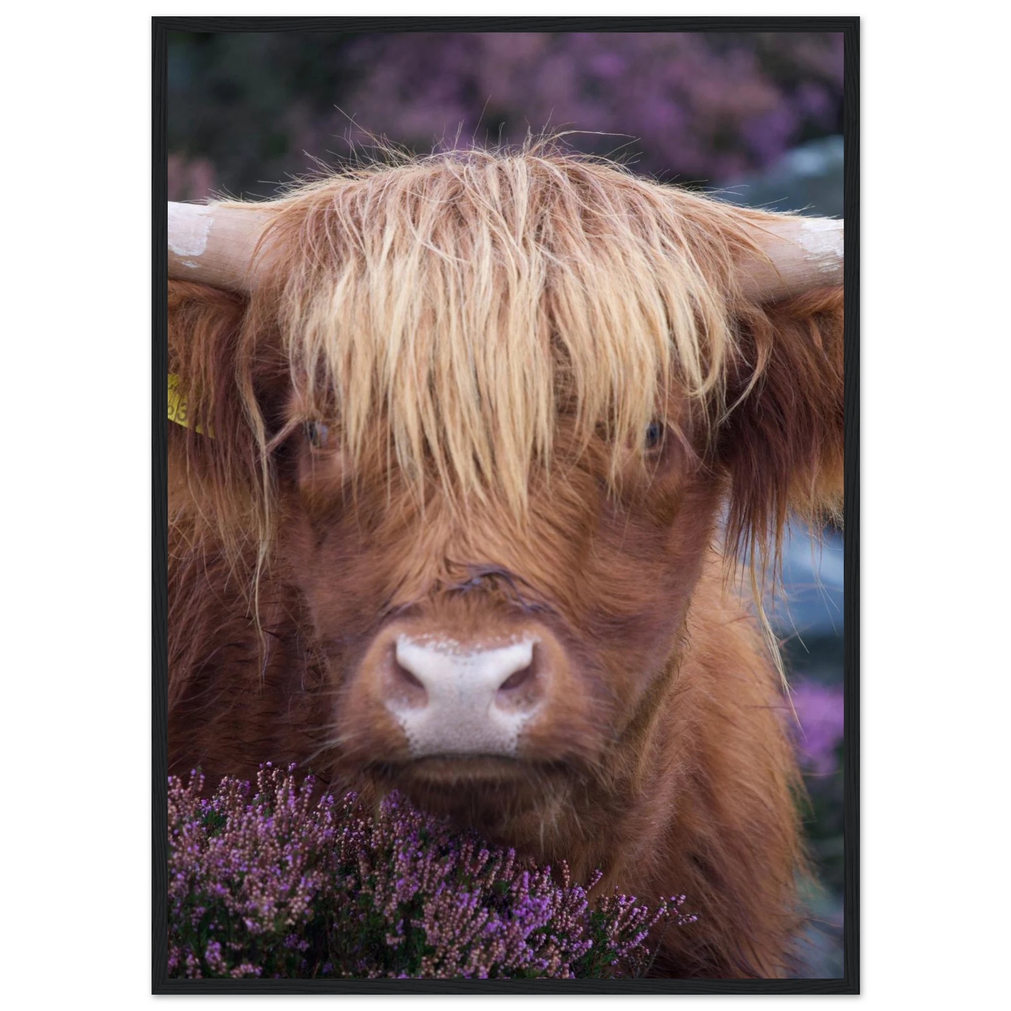 5d3c9b5a-6aab-4ebb-8bce-333e5d7de4fa