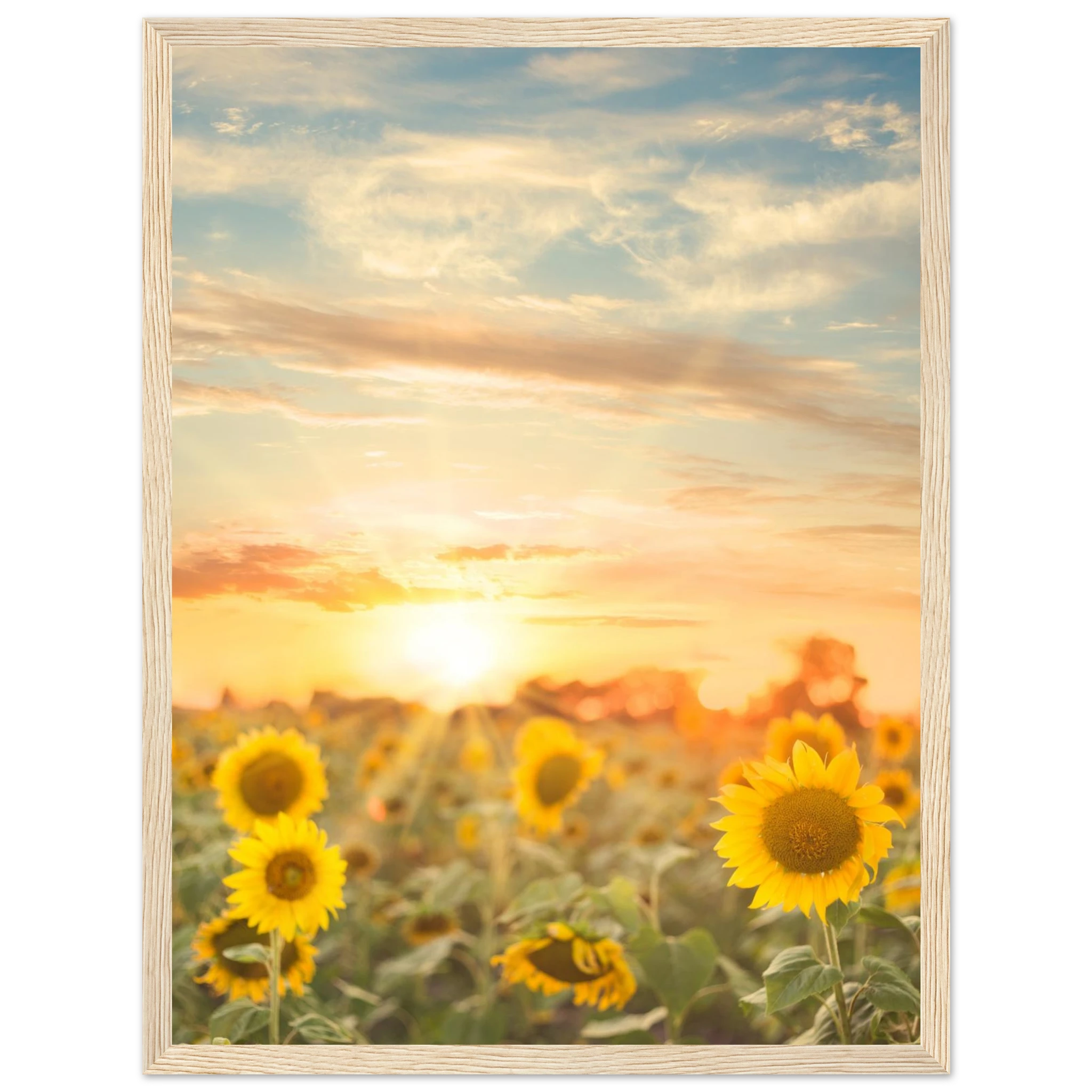 5d57d0a9-ab22-41df-b041-cbd9198bdada