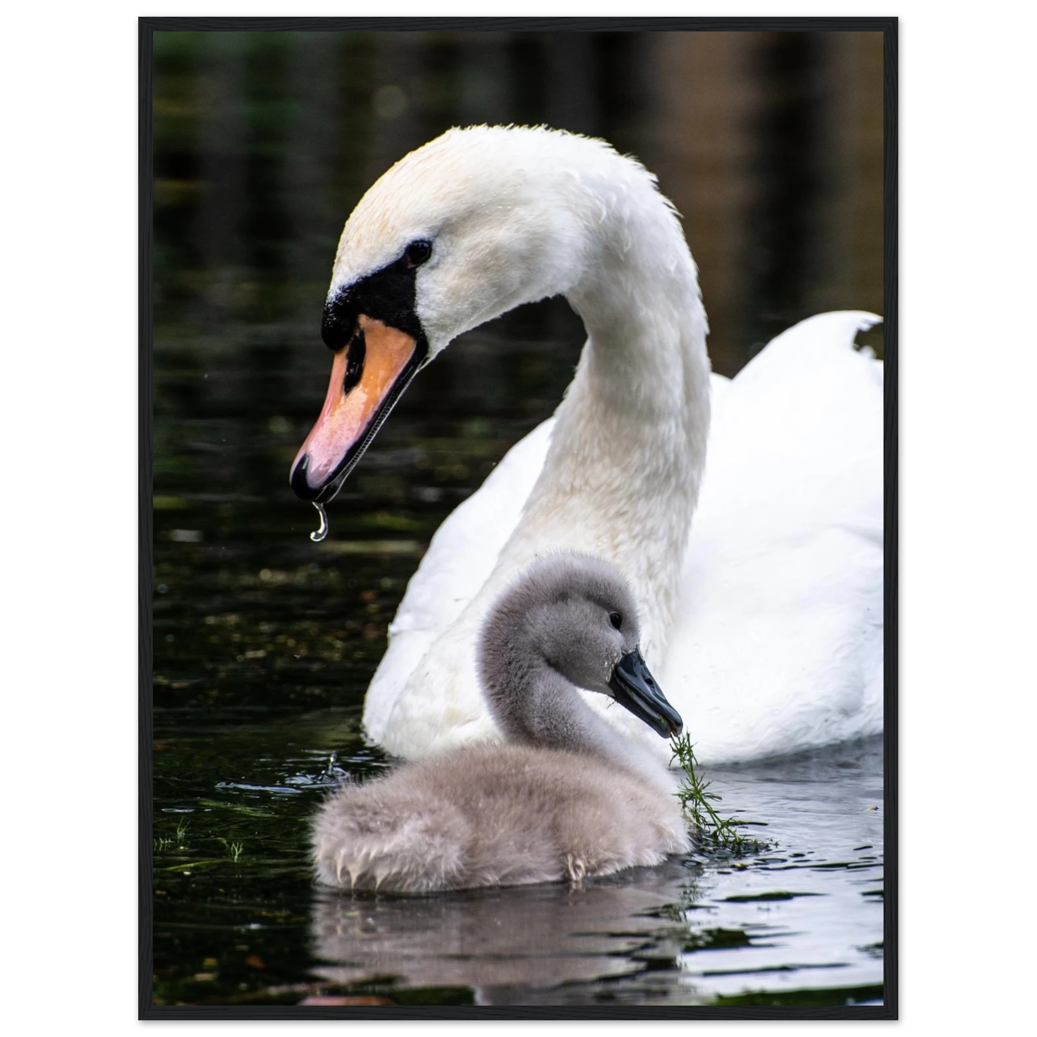 5d825321-6709-4e49-b532-c8d5bd61ff14