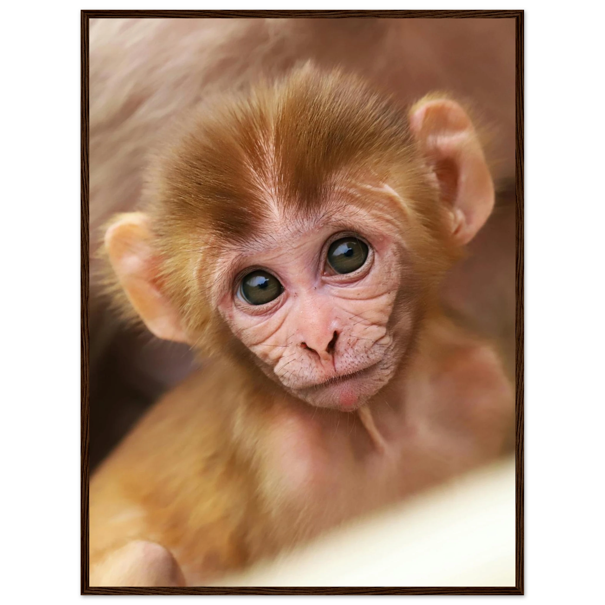 5d937f8b-5702-47f0-8df1-d0355dd69337