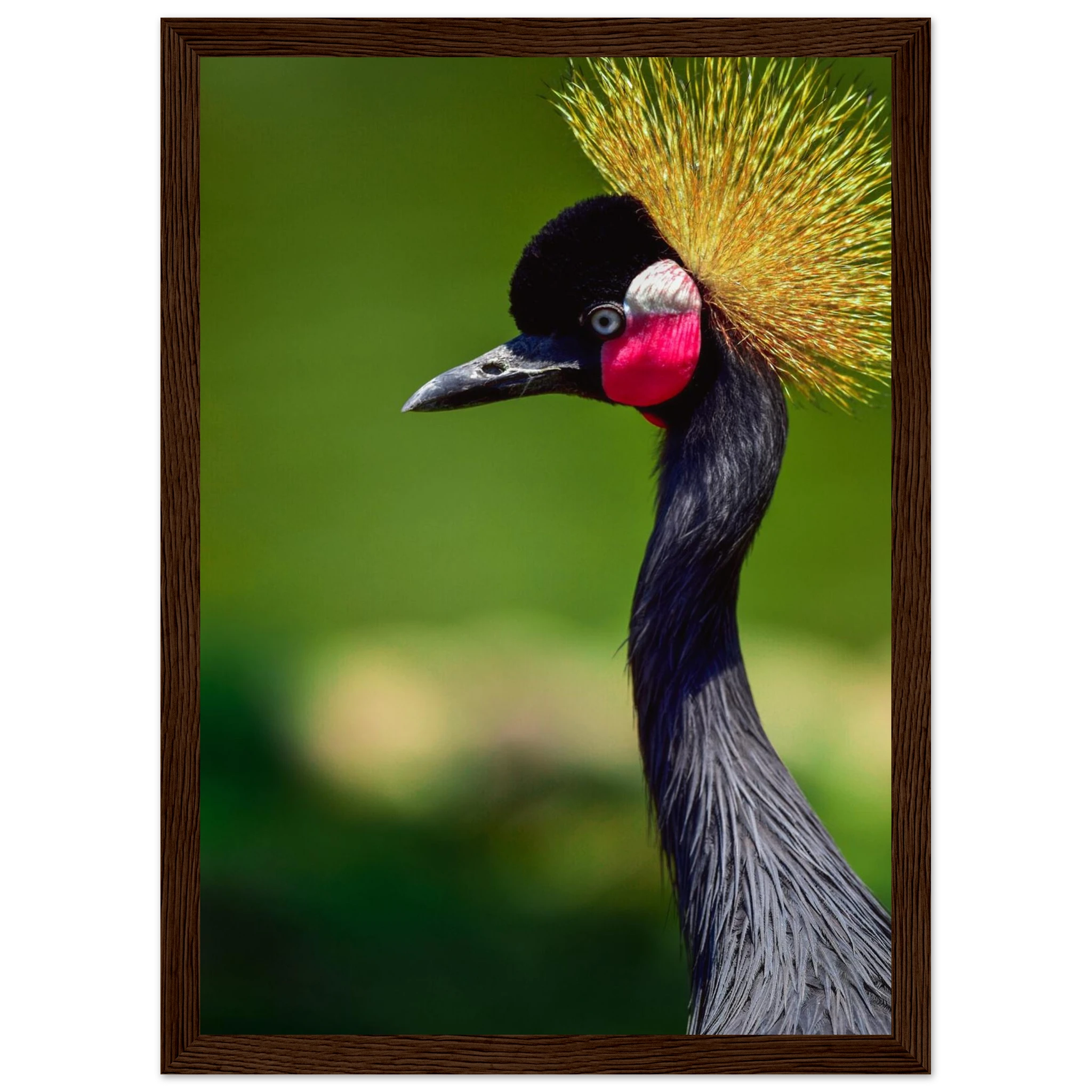 5d985659-f7d5-4f9c-97b7-a63b29560110