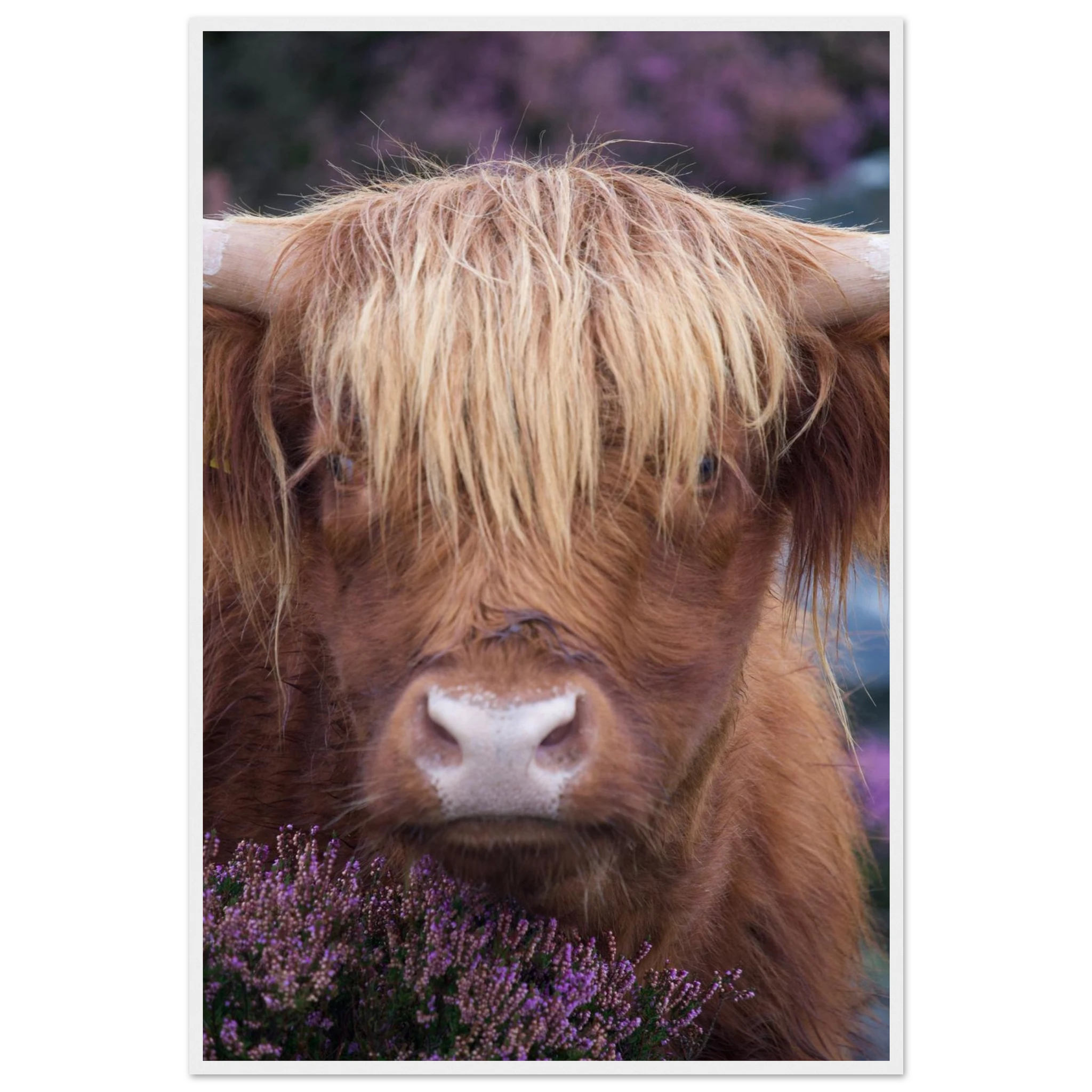 5ddd81f1-5d65-4f45-af40-1447d804ebbf