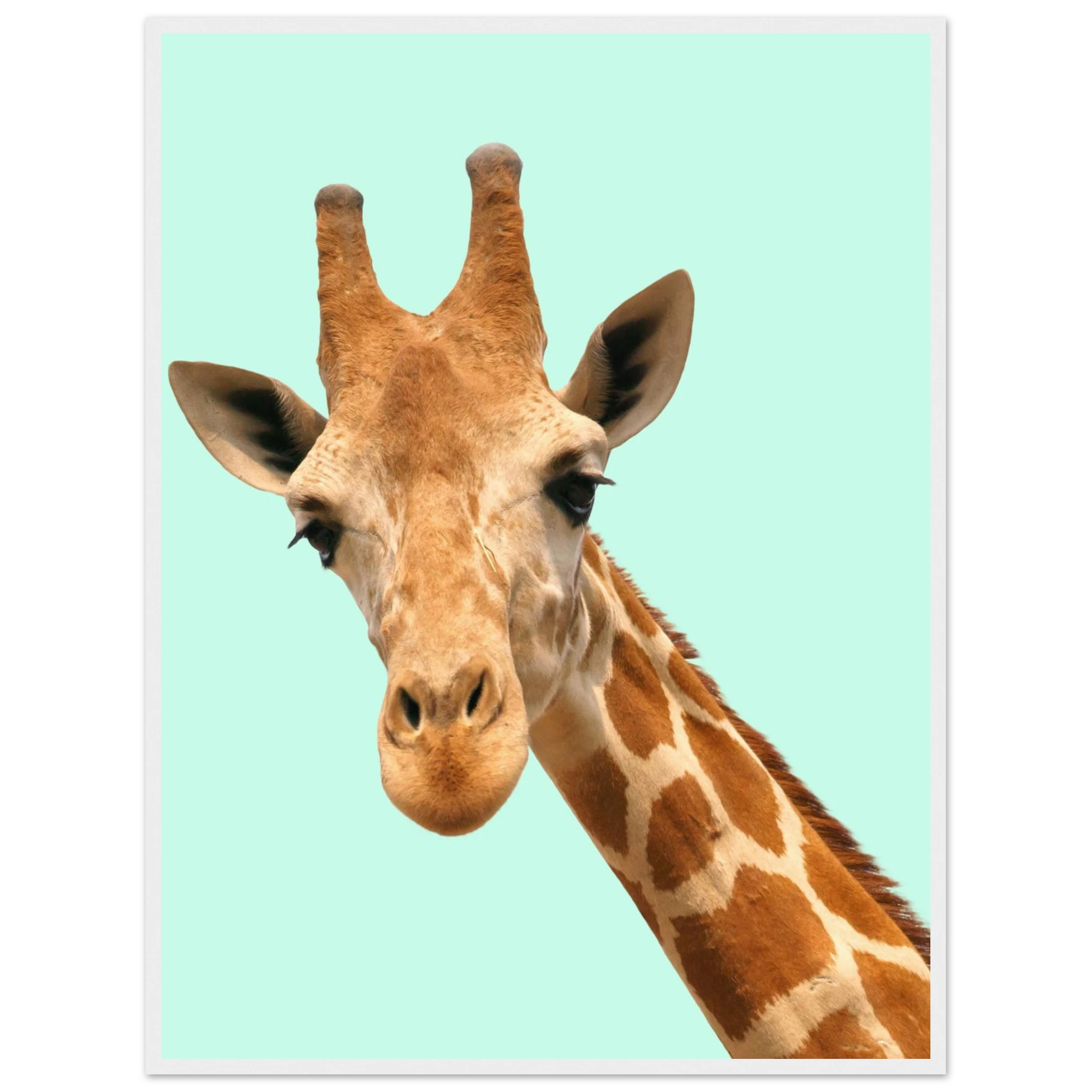 5de93f0d-4441-4bce-a666-138d5d66ed35