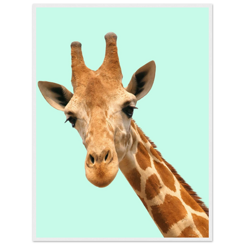 5de93f0d-4441-4bce-a666-138d5d66ed35