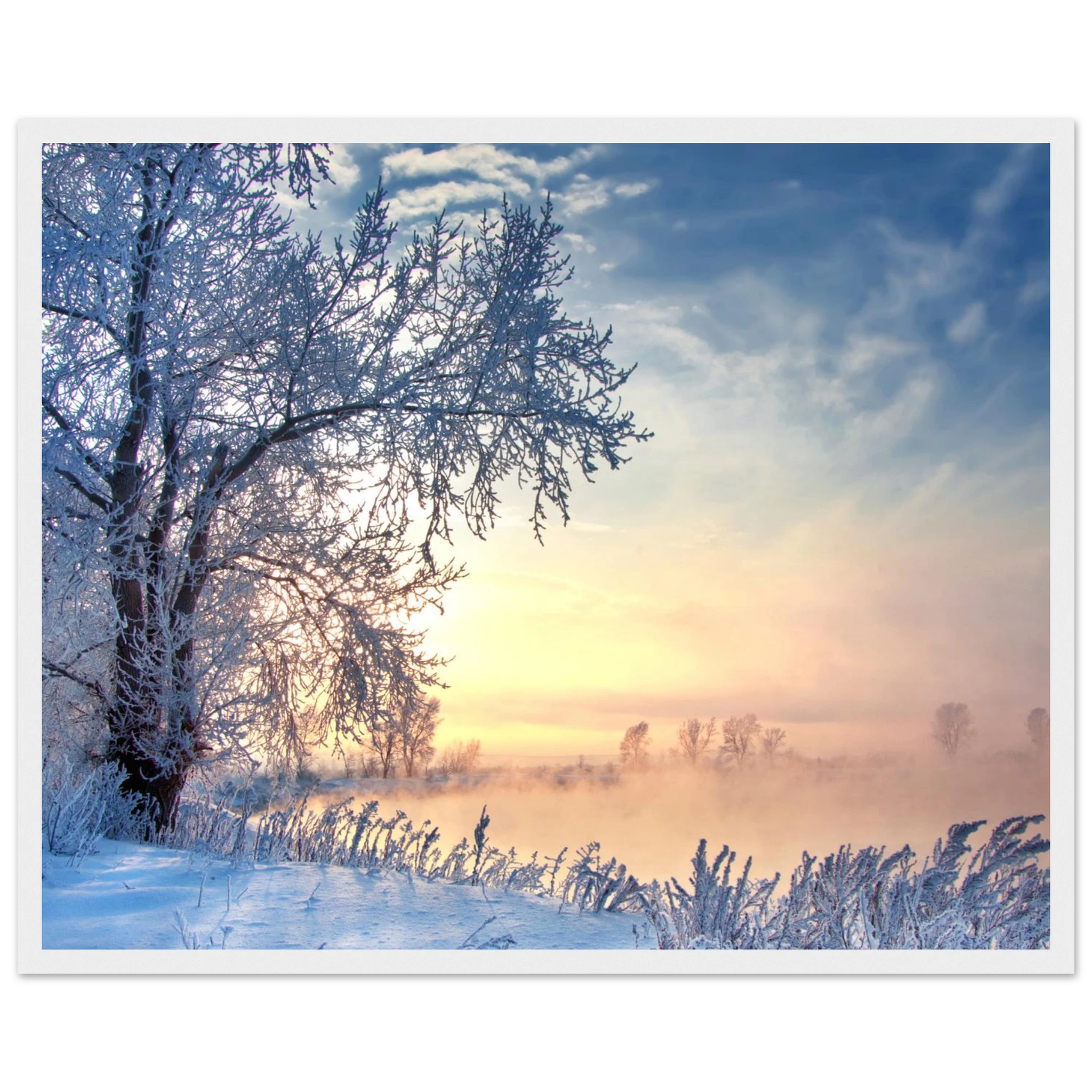 5dea23e6-d7d3-4fa4-ac59-e4d250b8e60f