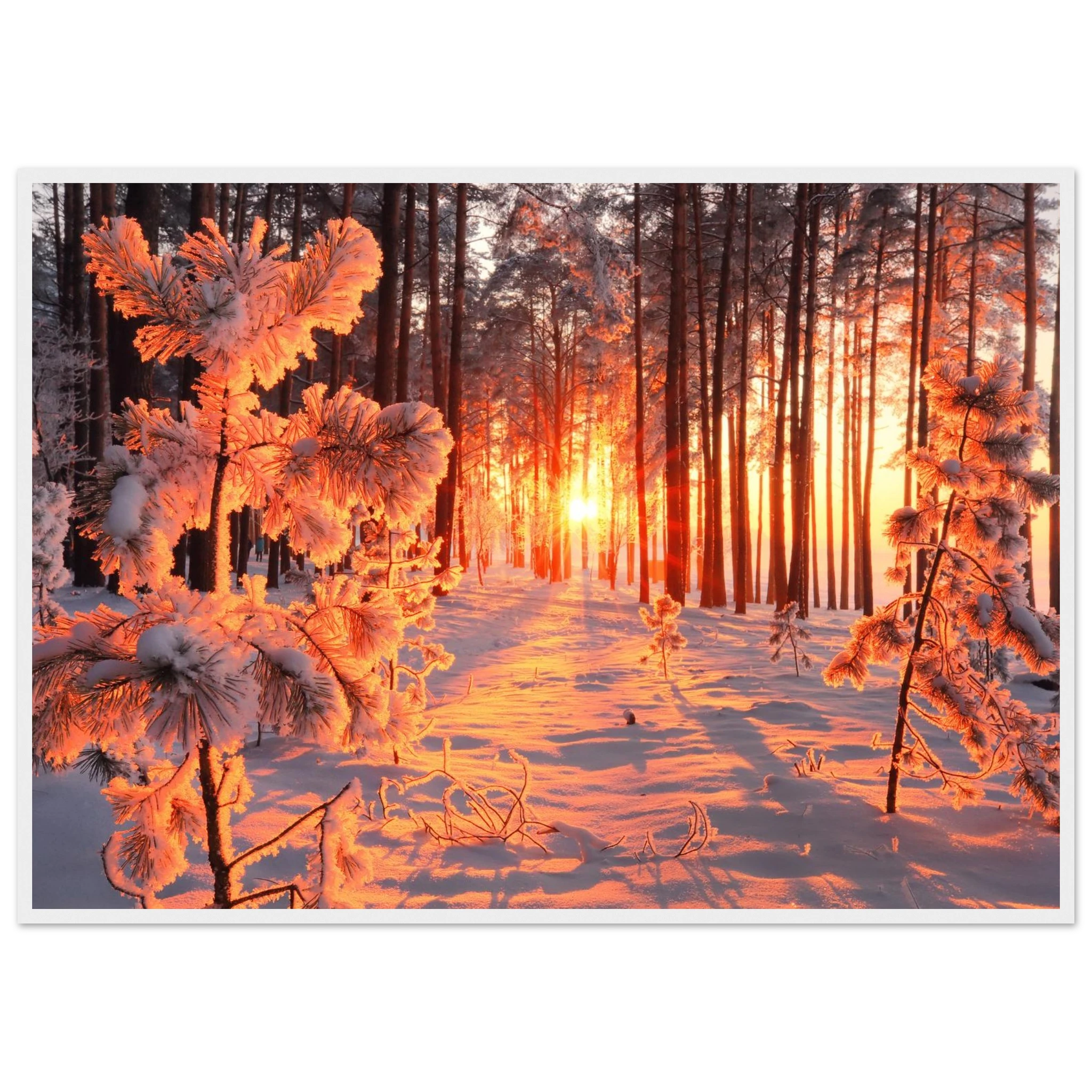 5e0b66d5-ad8b-4872-9595-641984cb8792