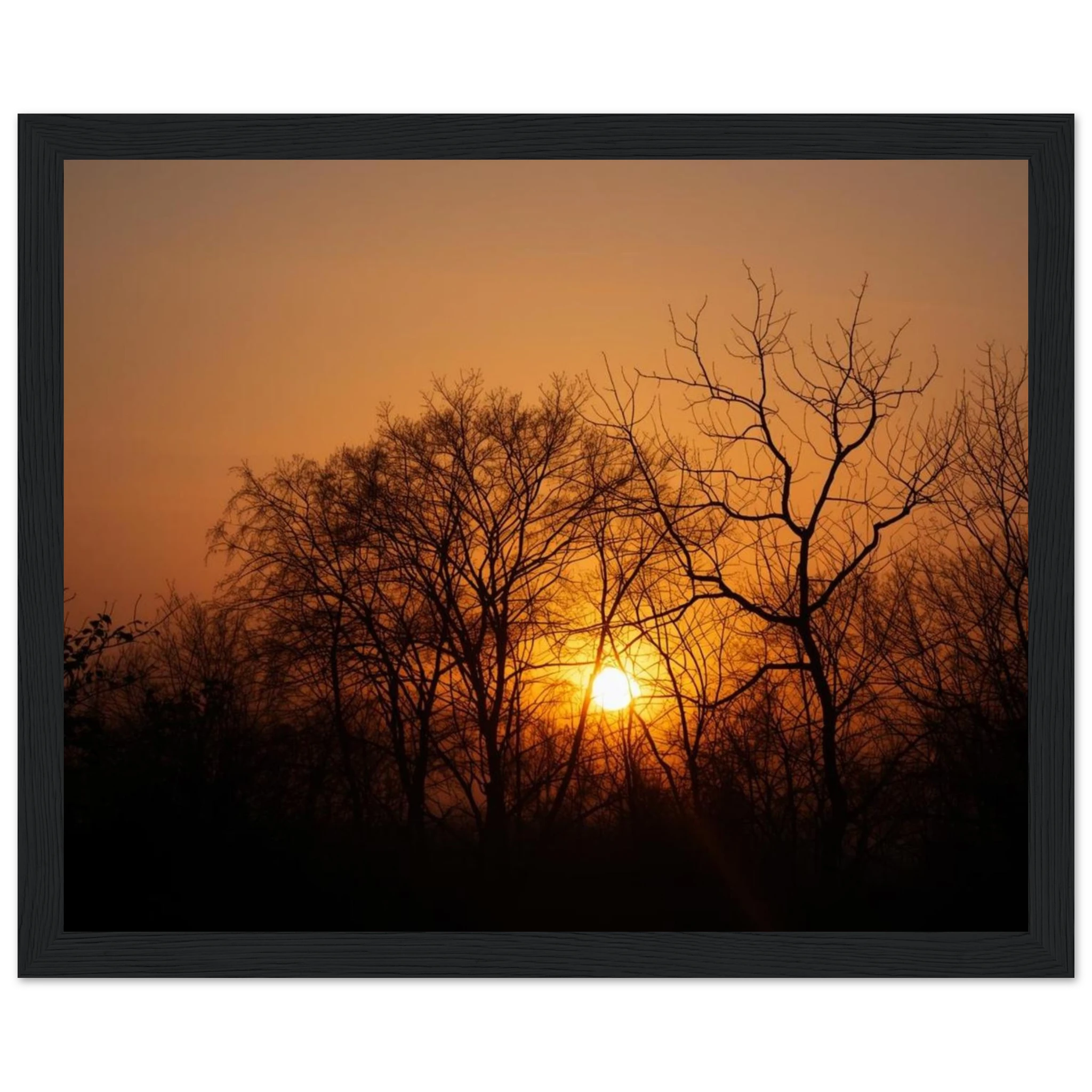 5e0e6824-9c89-4d63-ba3d-27fbcd4af2d1