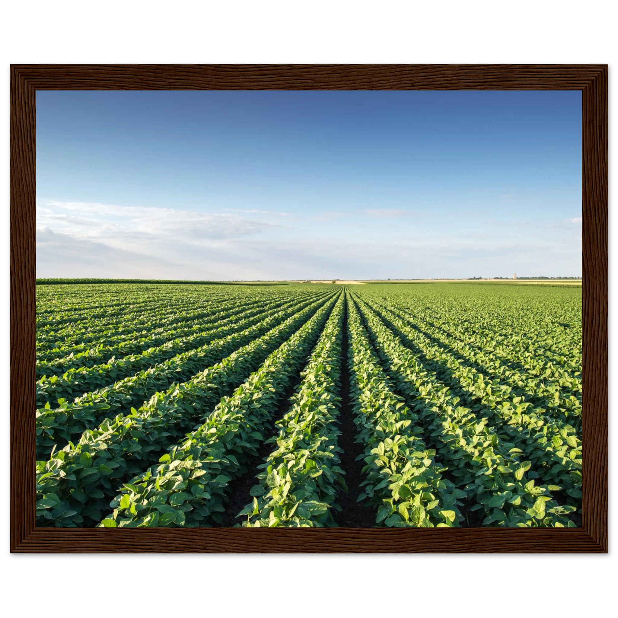 5e34e686-3b5b-49ed-b8d5-9777cc2dc6f1