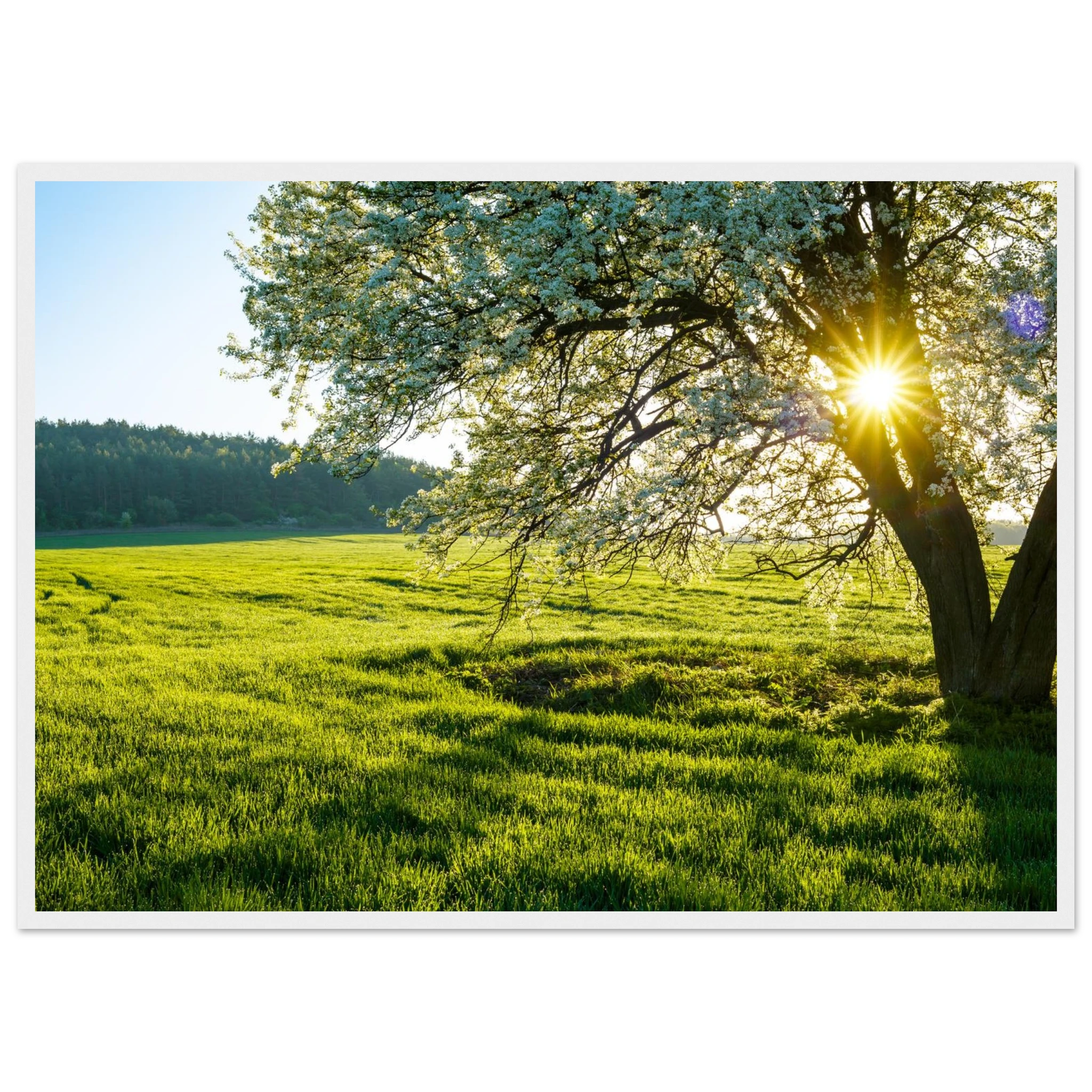 5e5b82c2-a4bb-422a-9181-62d1ab871ff3