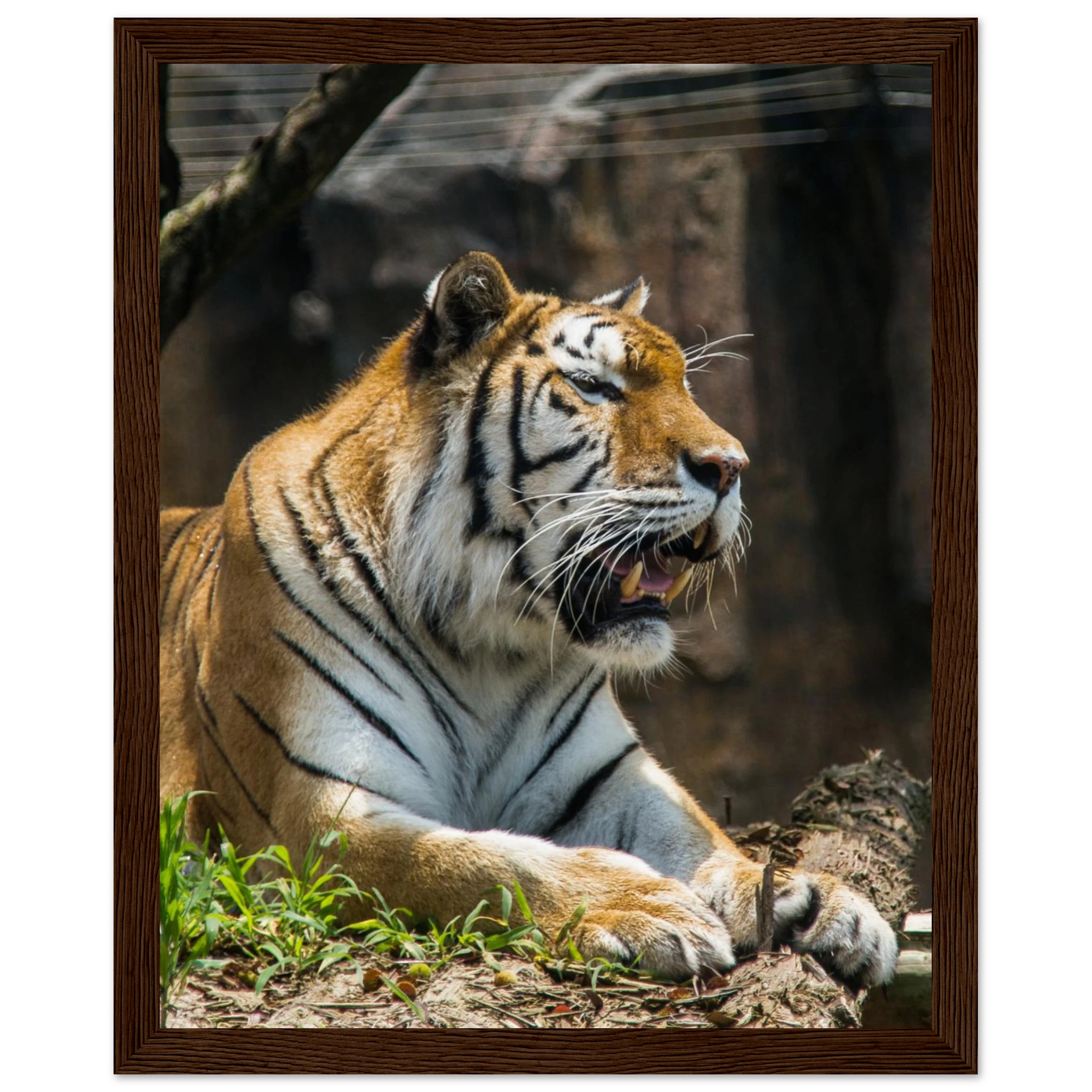 5e5f0695-a9c8-48e2-9a5c-49d85e27dbfe