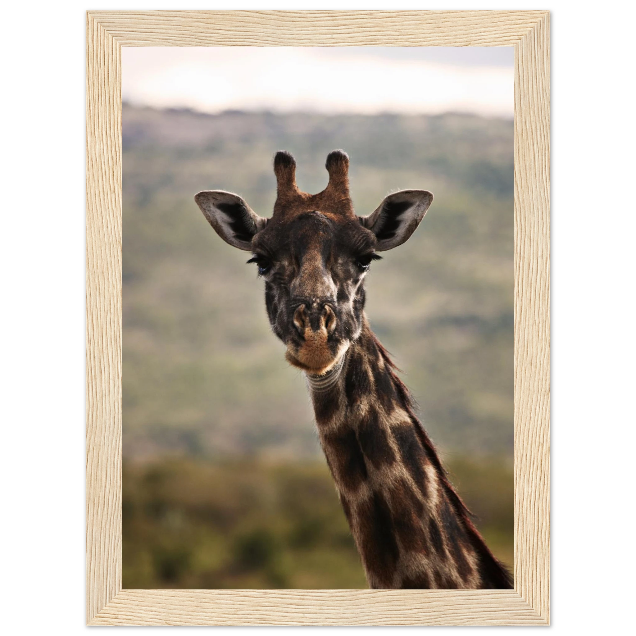 5e7cb4c3-3038-4720-8e89-b65280957548