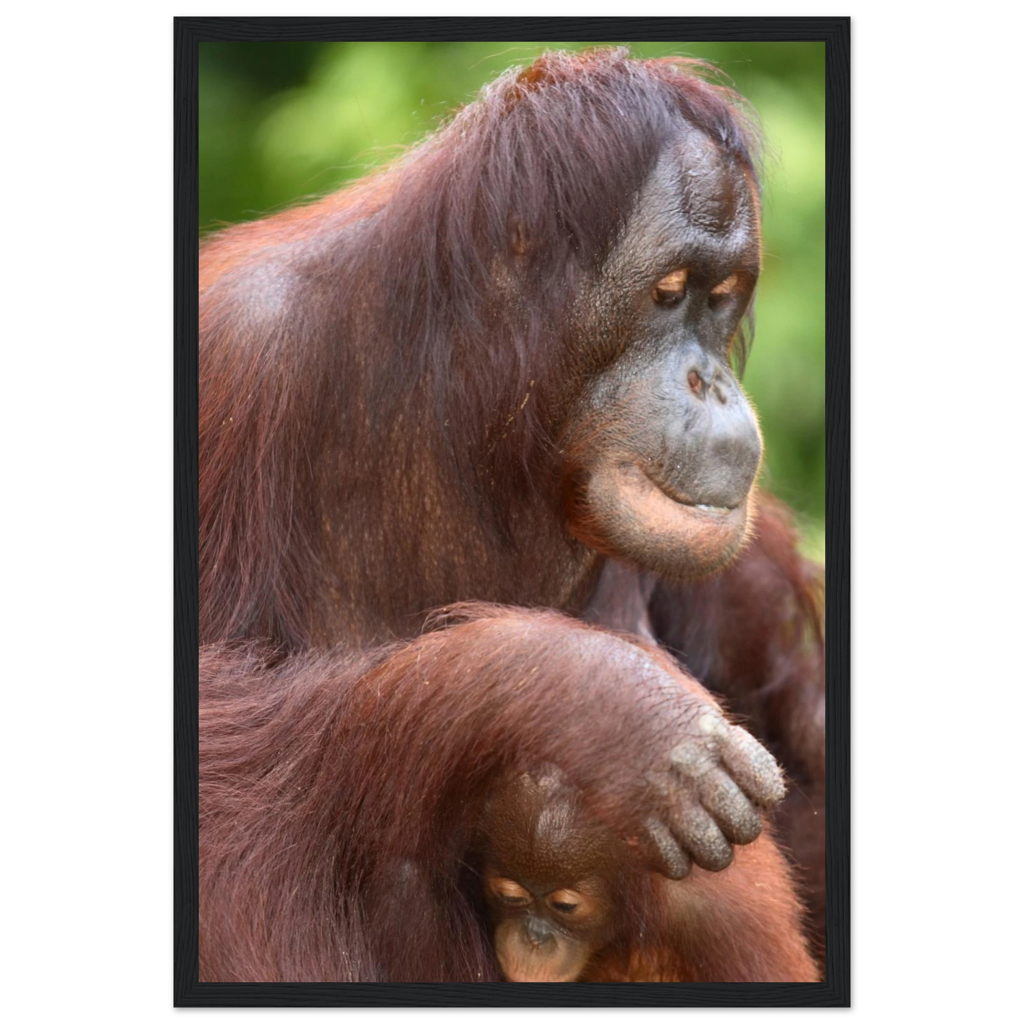 5ea1c1c1-c7b7-4848-984d-073054f67076