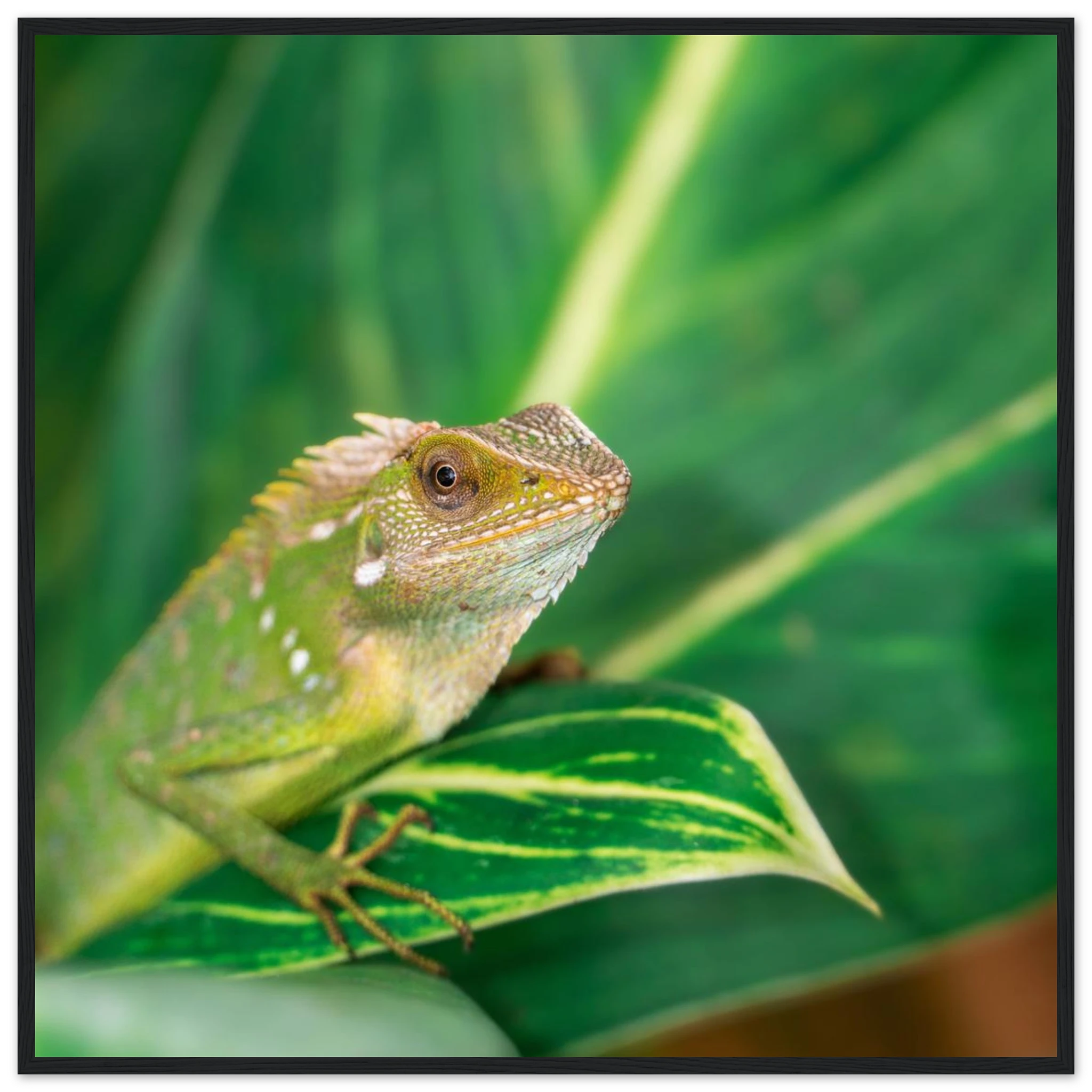 5ec5d85e-1e8c-43c2-8a46-2478b0b669e4