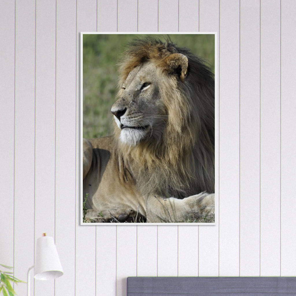 5ec85d18-95f4-406f-b2f3-383e8f6ed36d