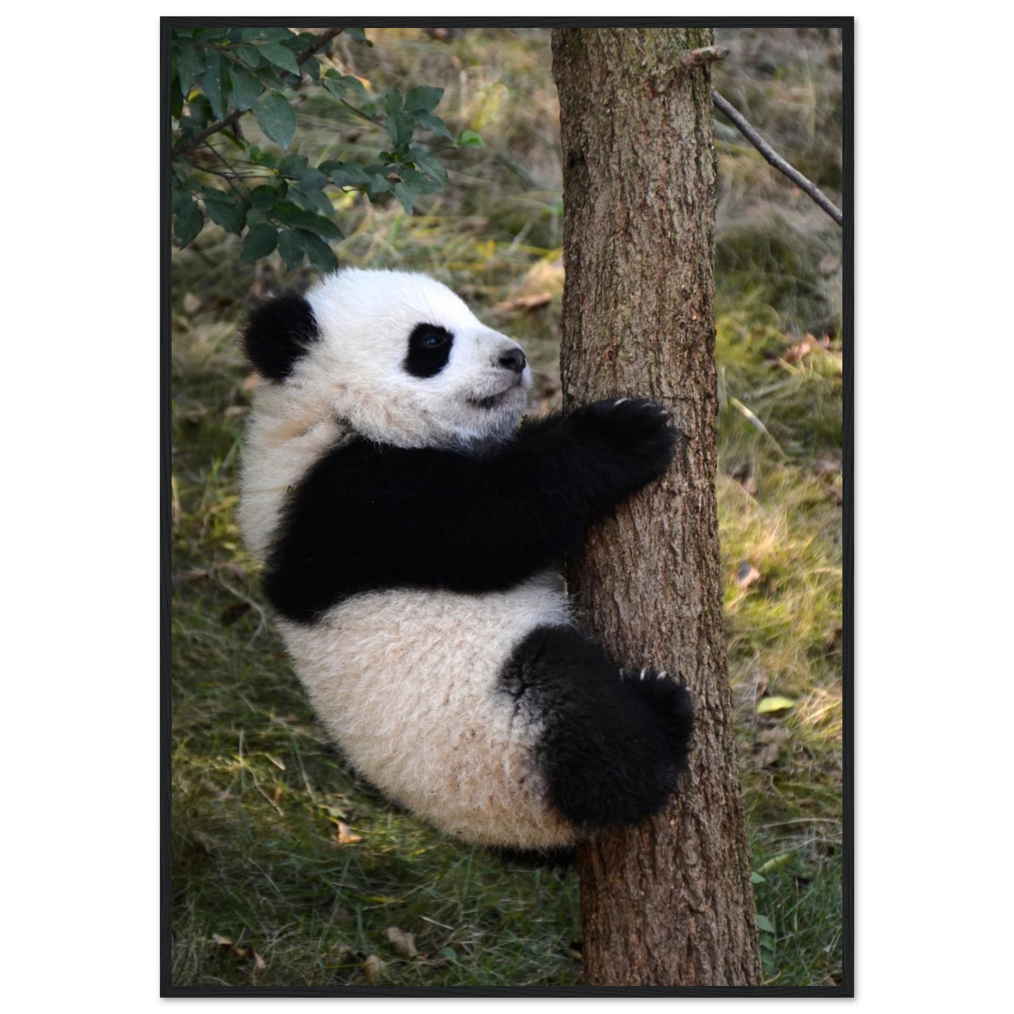 5edd4c12-0723-4b1e-9368-fdfba857b1e7