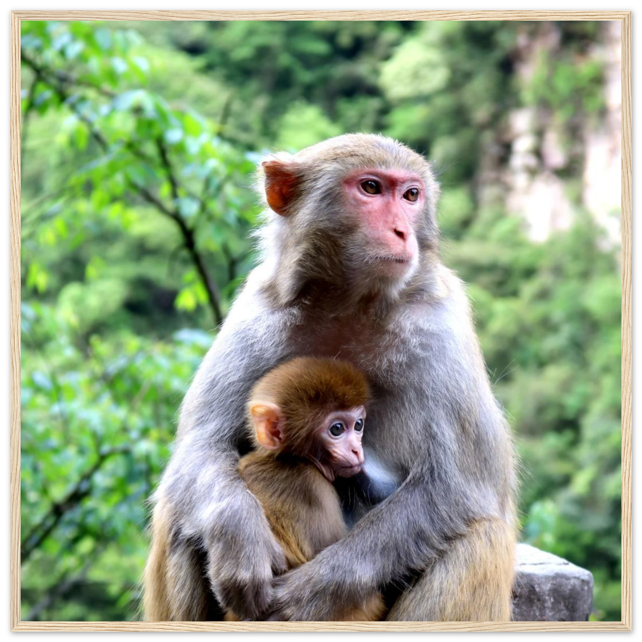 5eeeaf78-0838-4c76-8e9a-0cc18fee2607