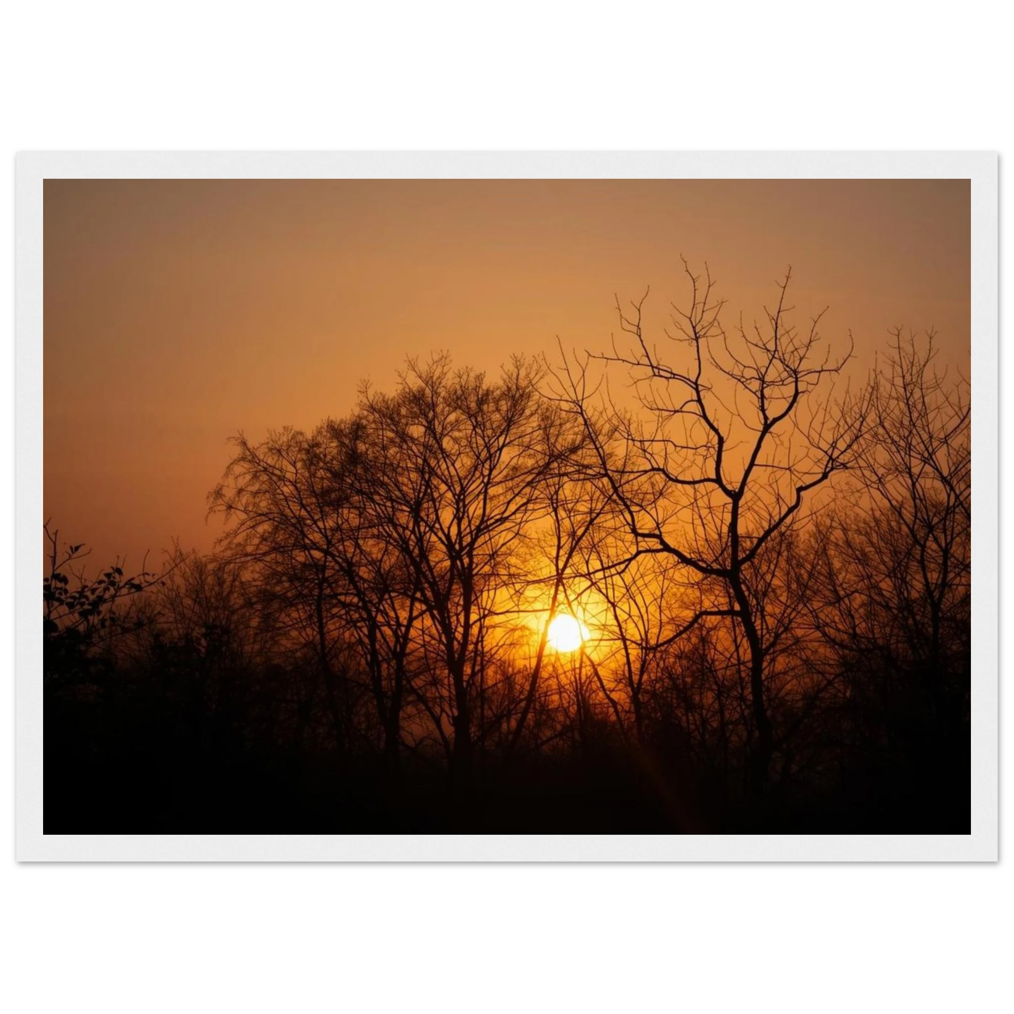 5ef9d131-3380-4be4-b201-9347d24e6c62