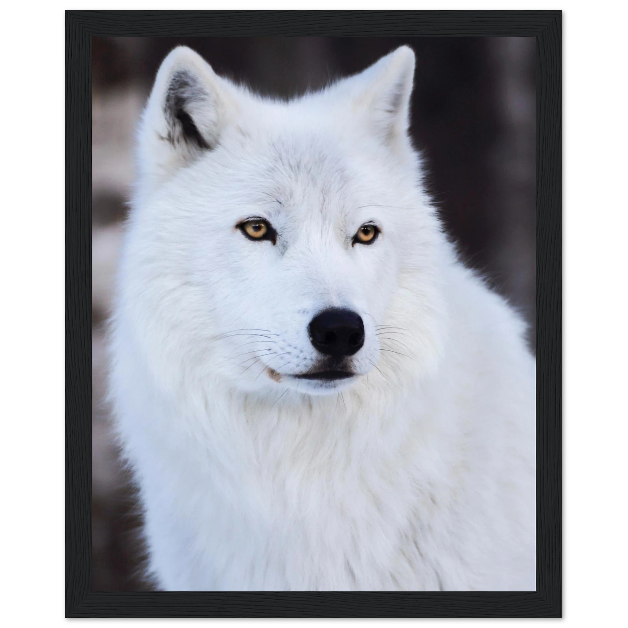 5f05fe0a-eb49-407d-abf3-c9a906d6780f