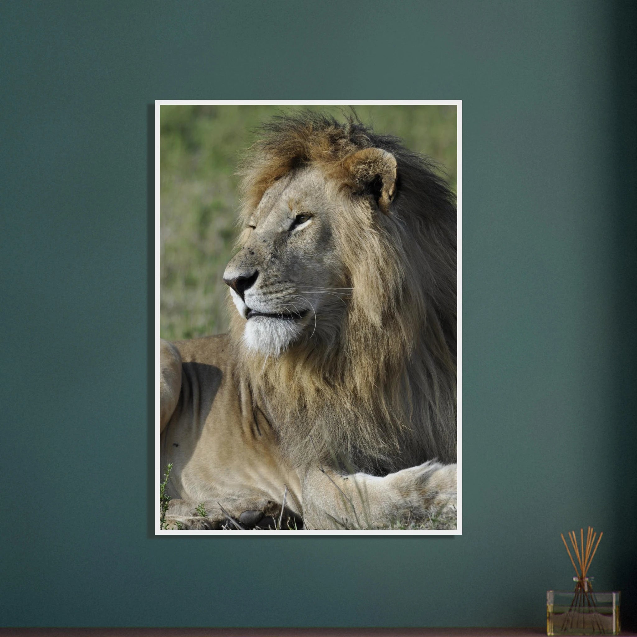 5f17e85f-d78f-4eeb-b50d-ffdf5ef722db