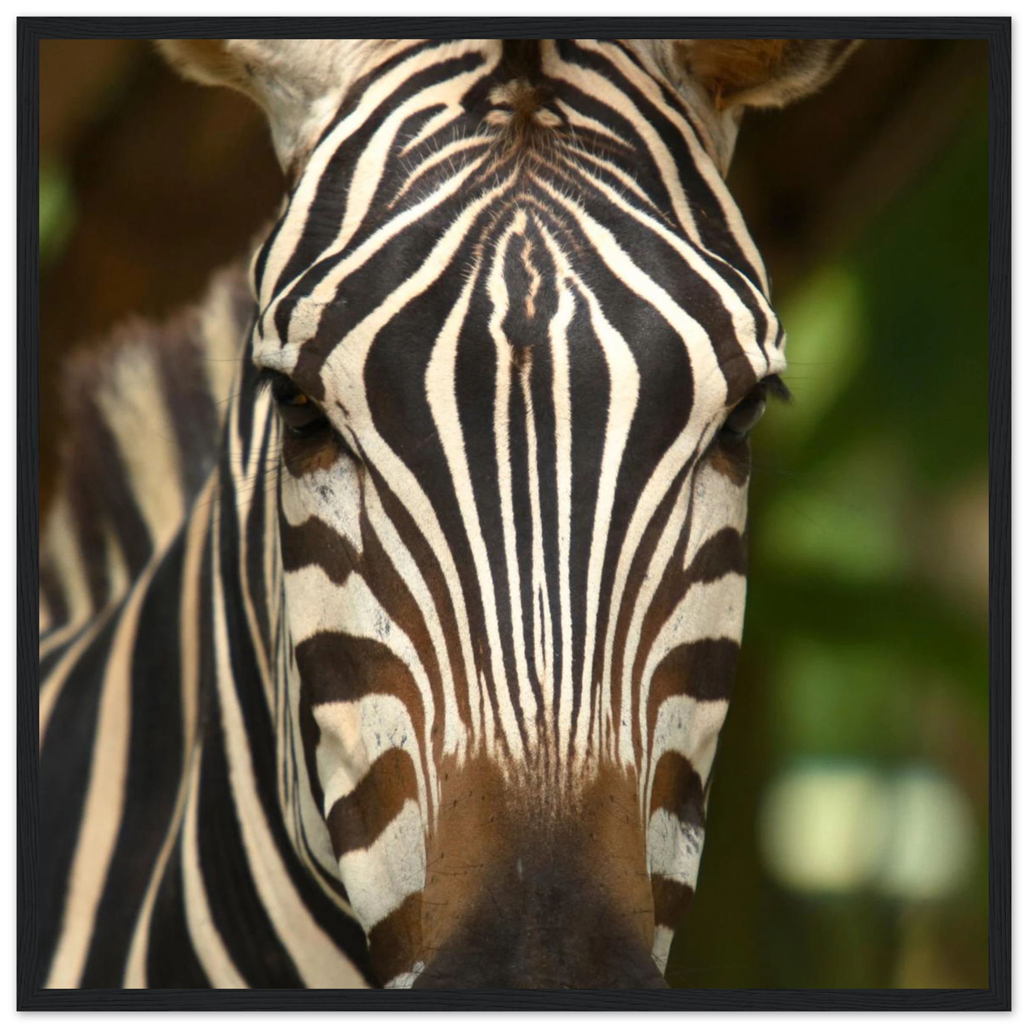 5f1e4a60-6bef-4d16-bd94-4f46fd5311de