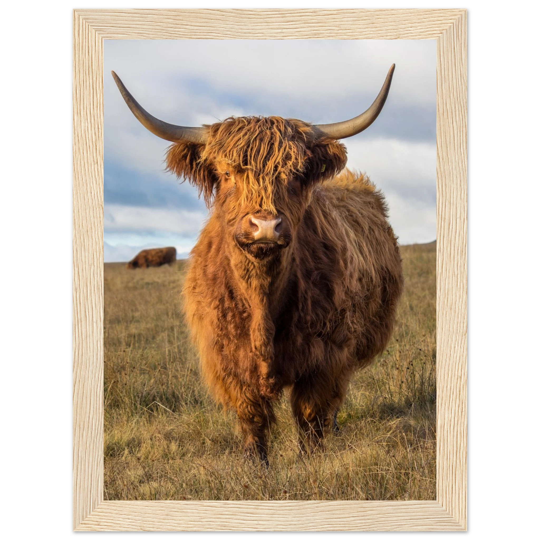 5f533a6b-950c-47c3-b8f7-07ed462fce22