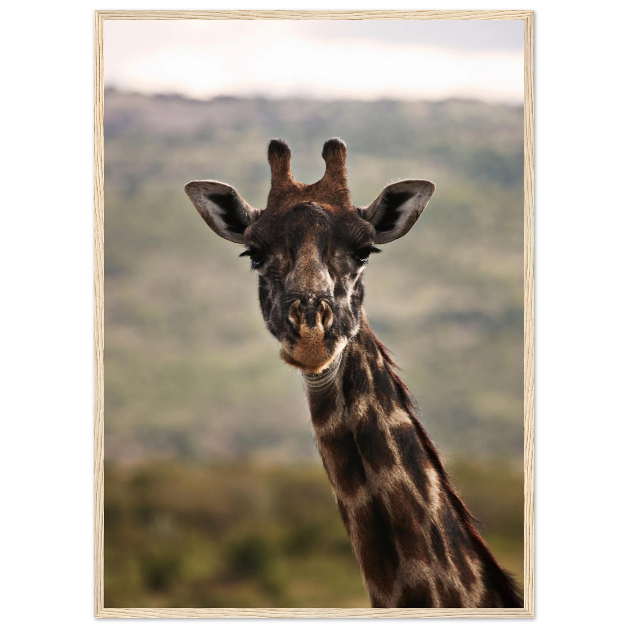 5f6bc55c-1dda-4e74-90b1-9068073a1cc0