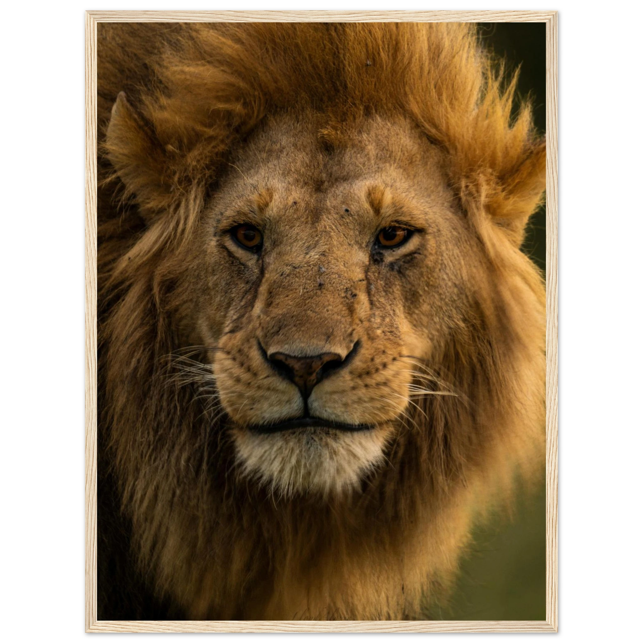 5f719a3b-e22e-4b82-b3df-a71ecad9c96f