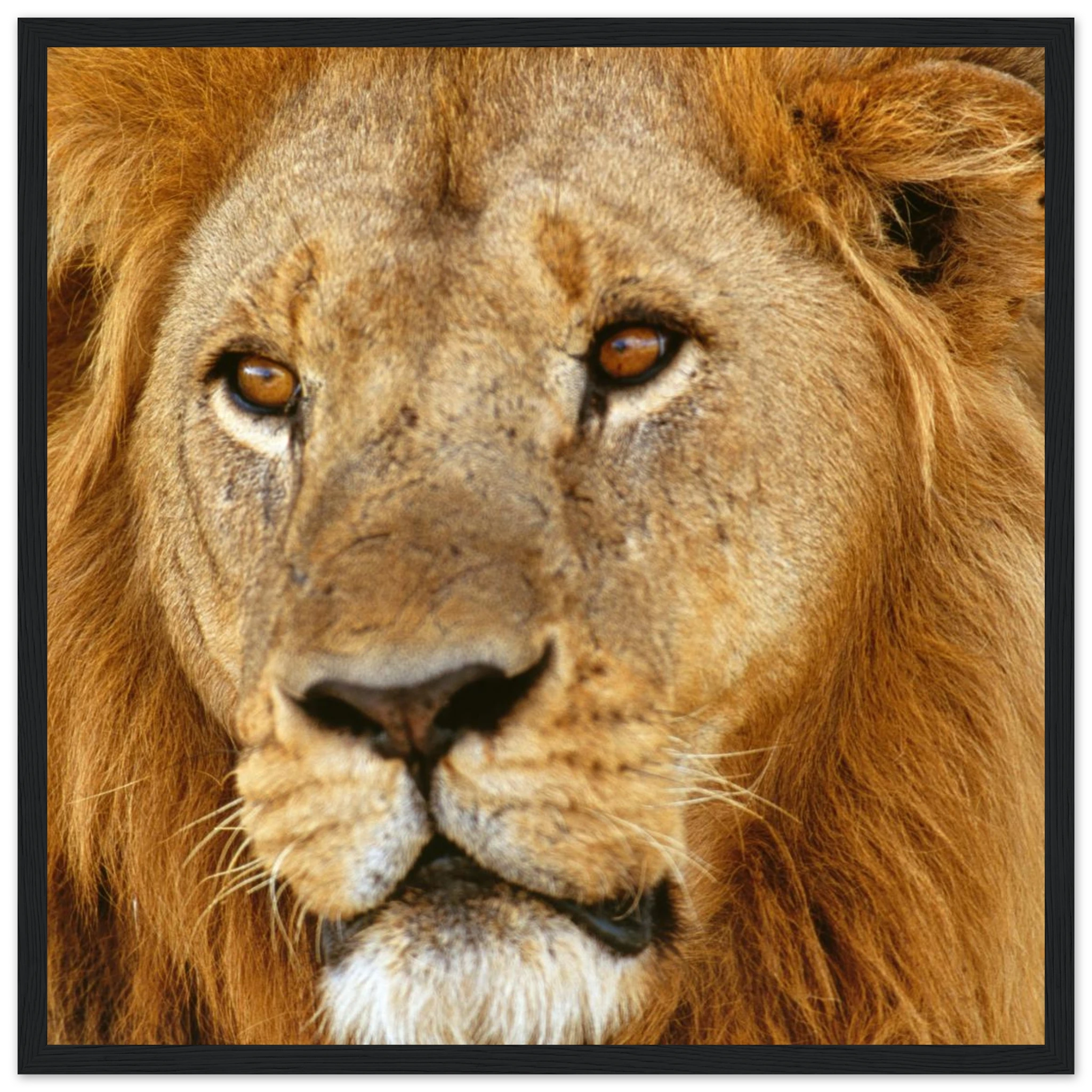 5f7d9012-439b-470e-bd4a-0e11ca57f143