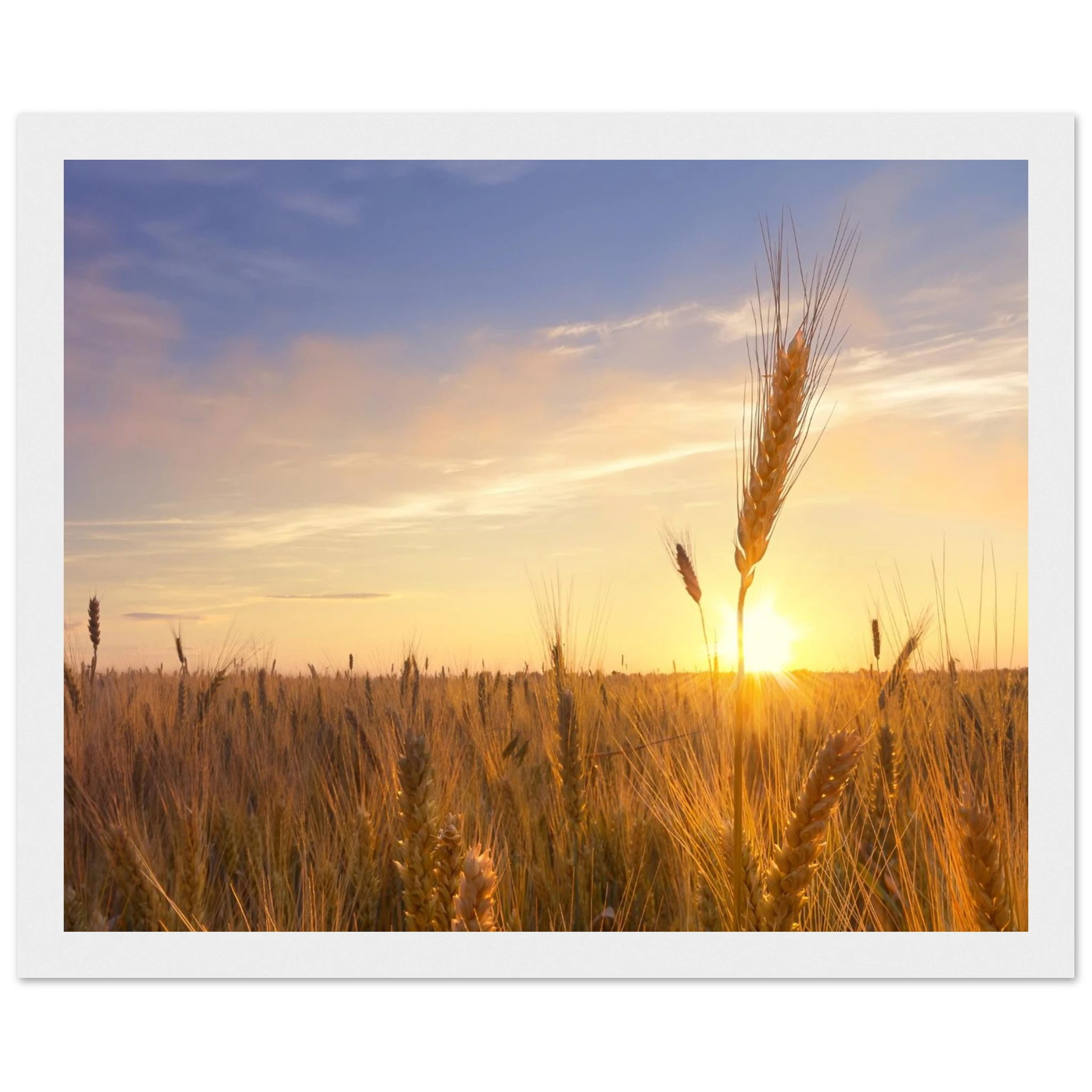 5fb13ff6-11b7-4b04-865f-54c71b258471