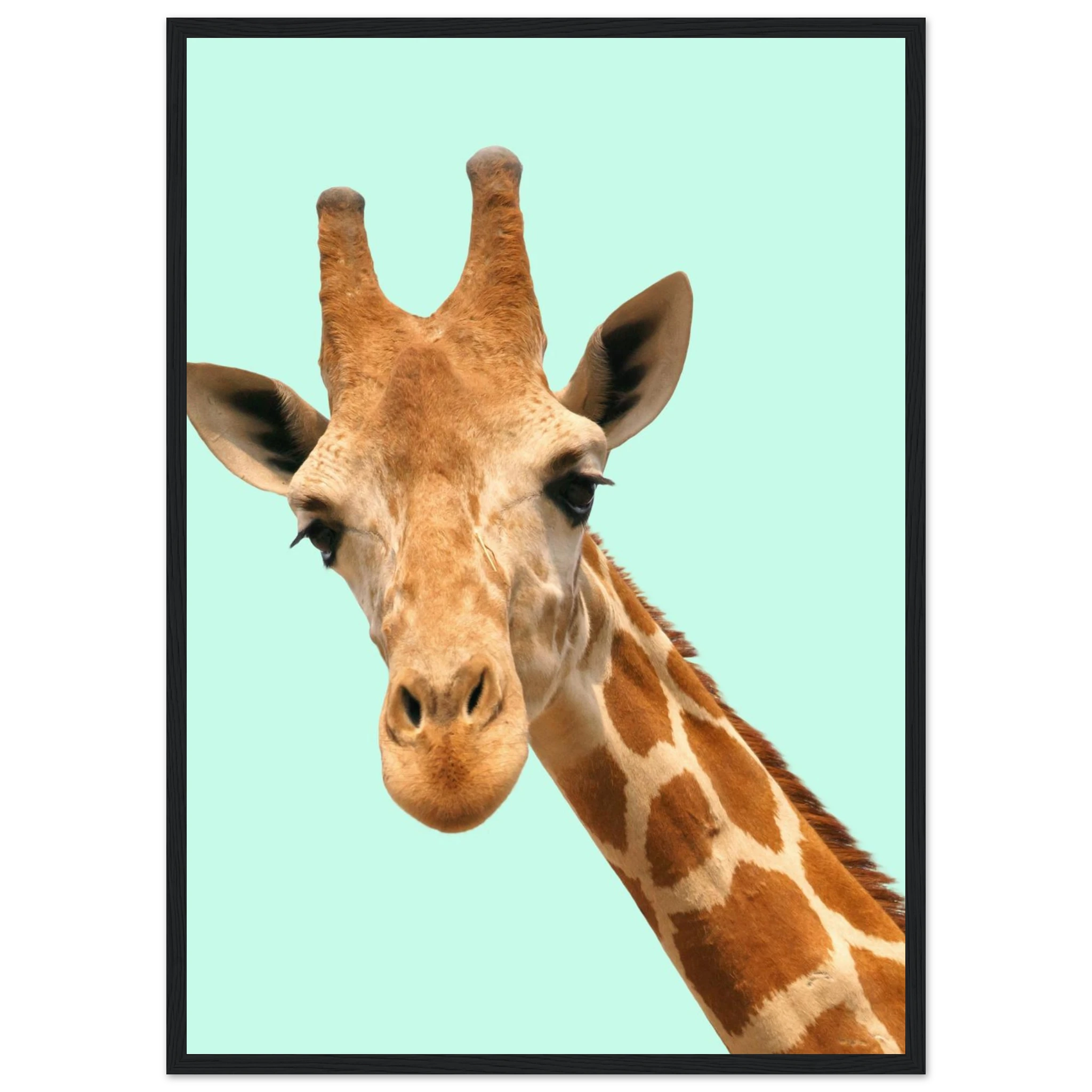 5fb62dd0-1f47-4573-9ed8-953e618ff517