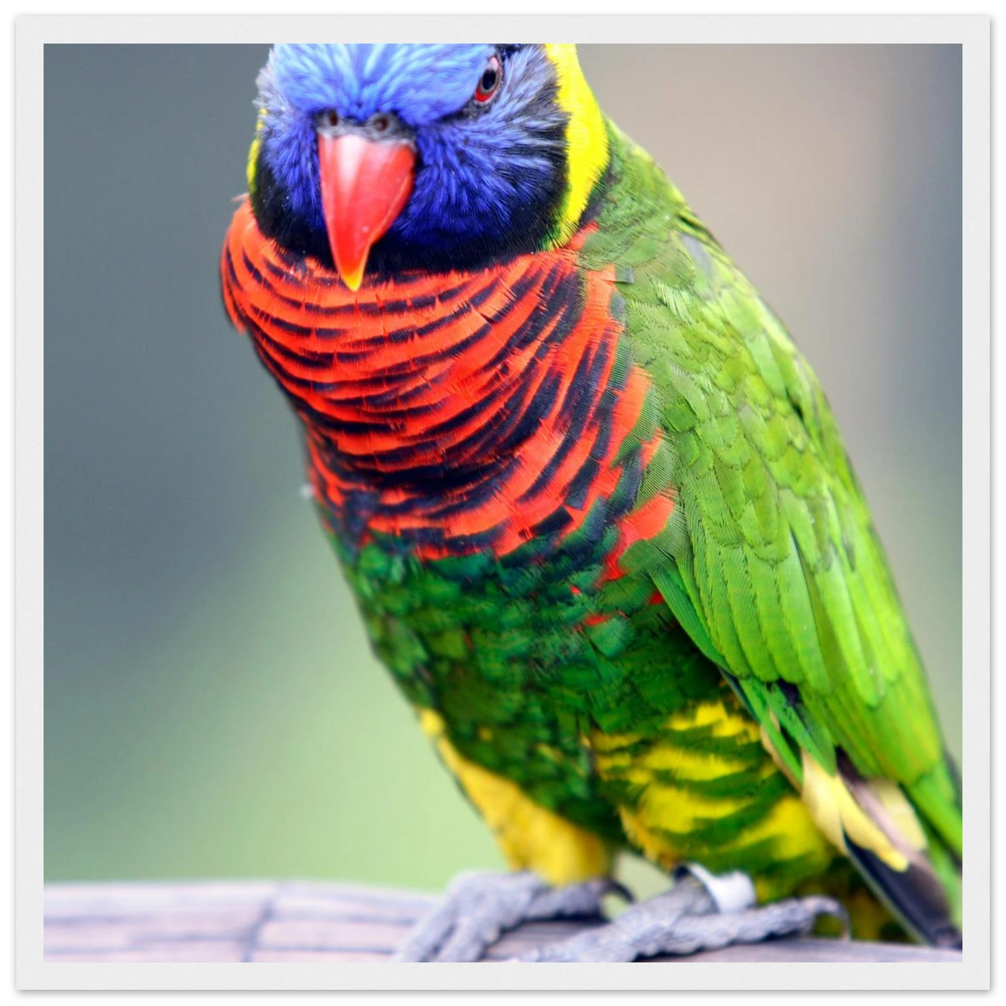 5fcb7ffe-bb97-4a55-9f5f-c24f9bab47eb