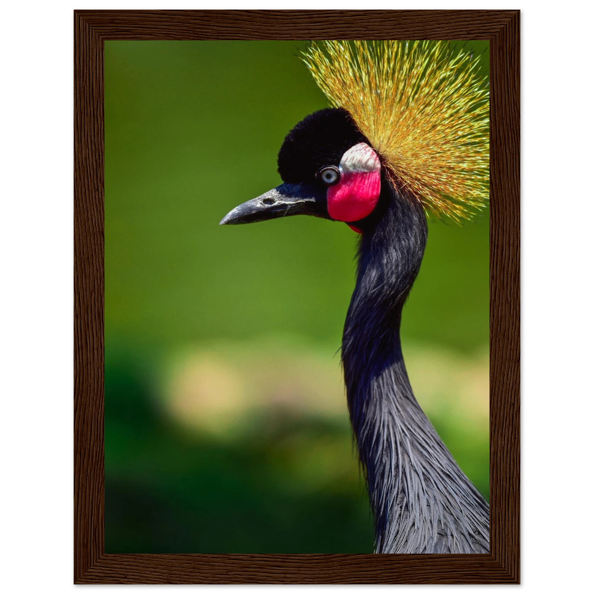 5fcbef47-b3e4-4c7e-9adc-c70ffc6f592b