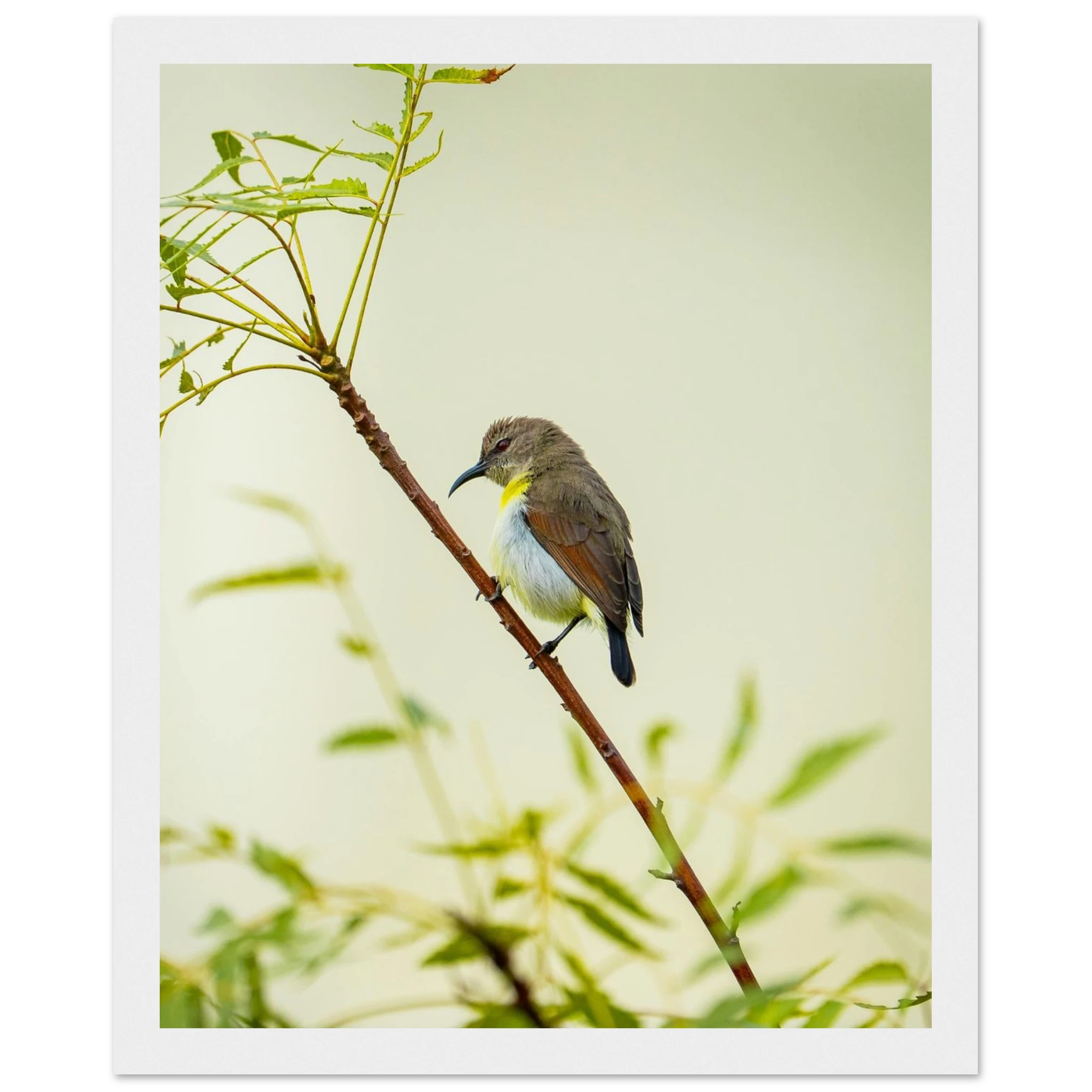 5fd53720-d2a0-4cd8-8276-e6452f2bfc66