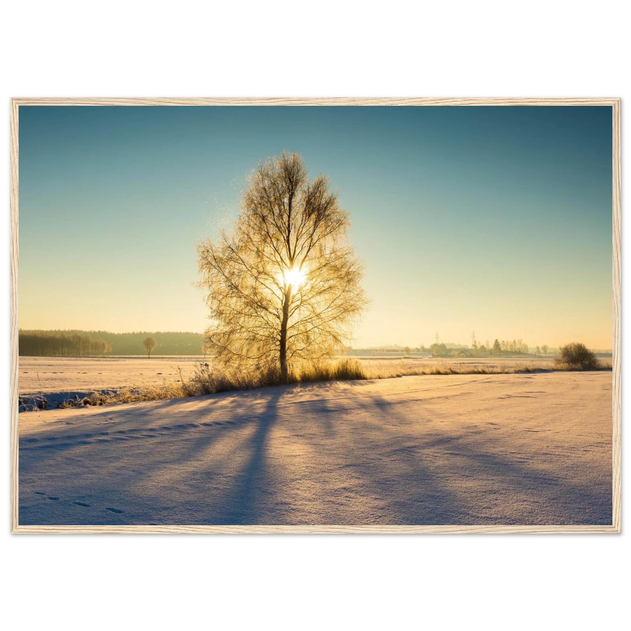 5fda5b71-bd26-44d7-9274-916fcf9e5080