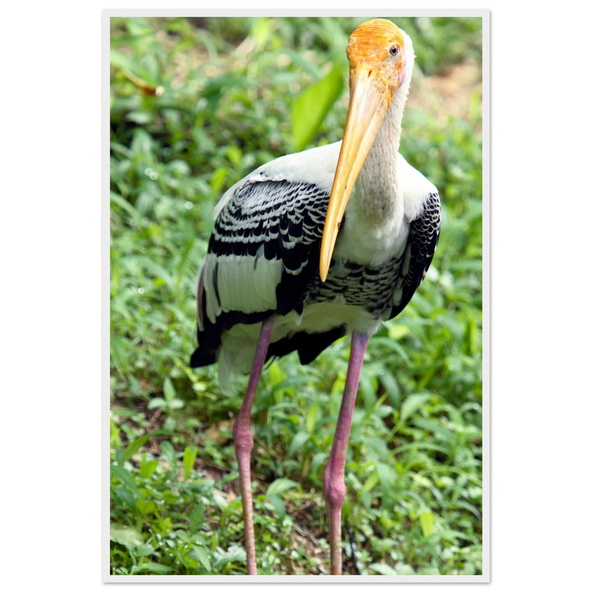 5fdf1a7d-ef2a-4d67-b3d2-f427ae6ecdfe