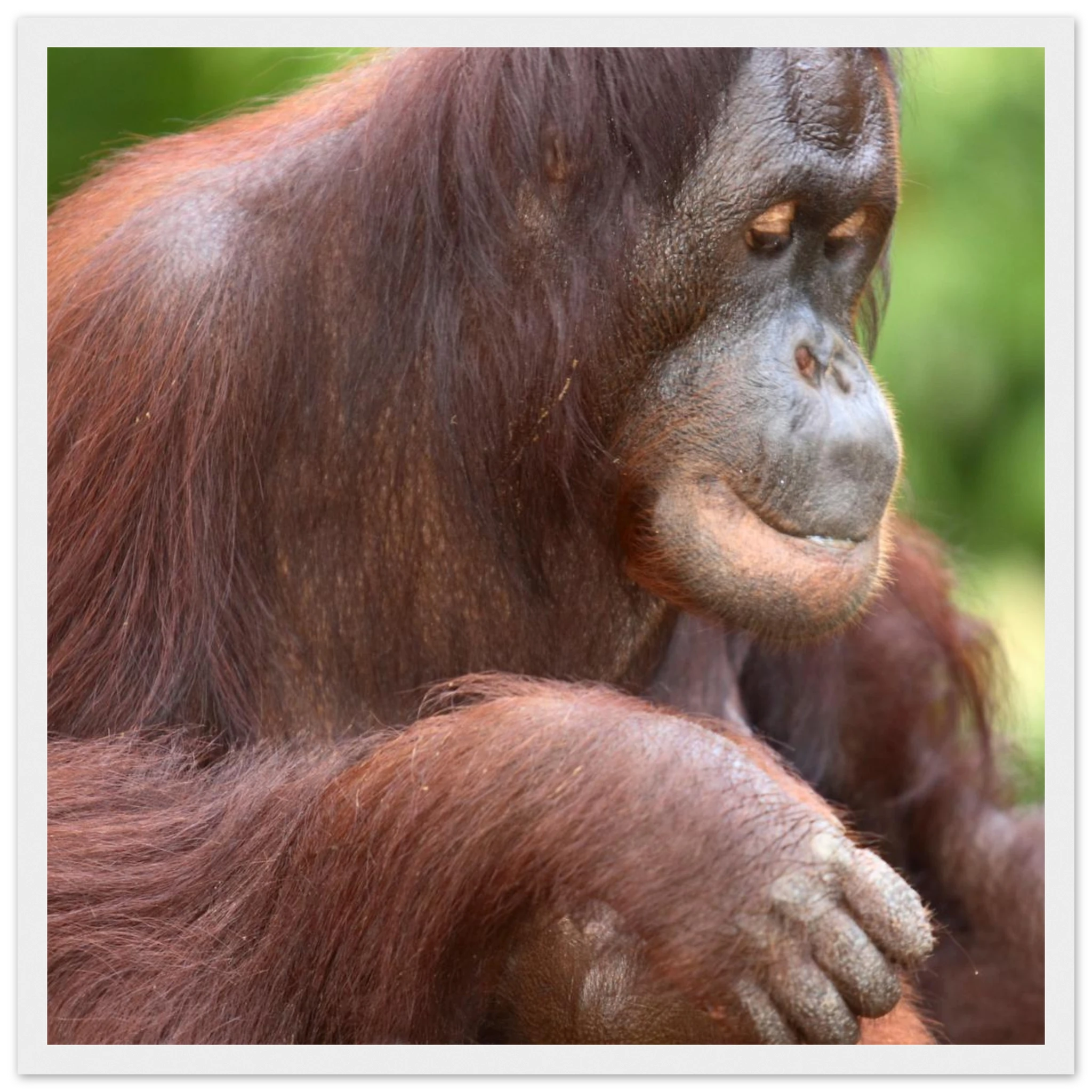 5ffd96ce-2786-40ab-910c-cb77b02db2eb