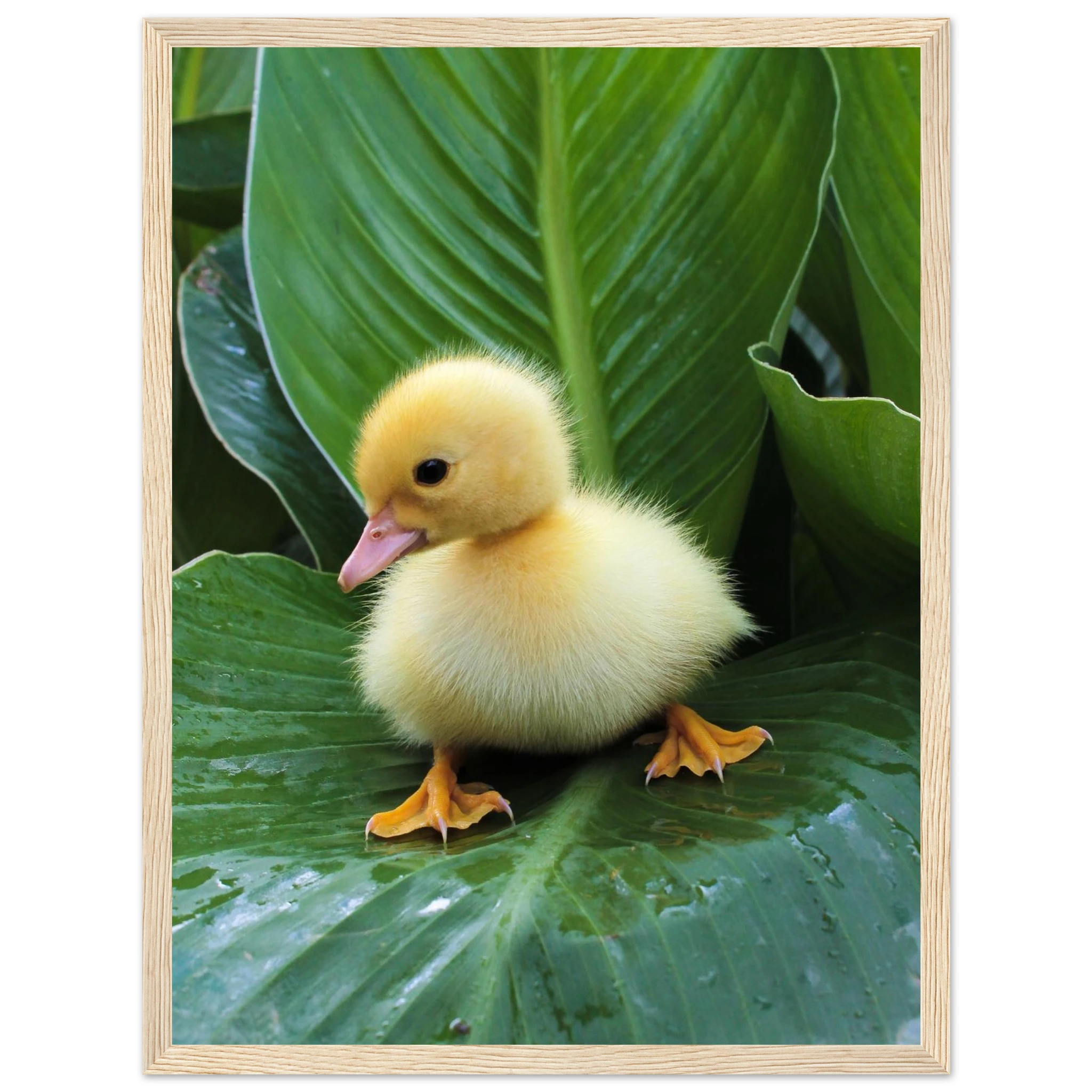 5ffe2c69-0cba-4f8a-9acf-dcfa80756a9b