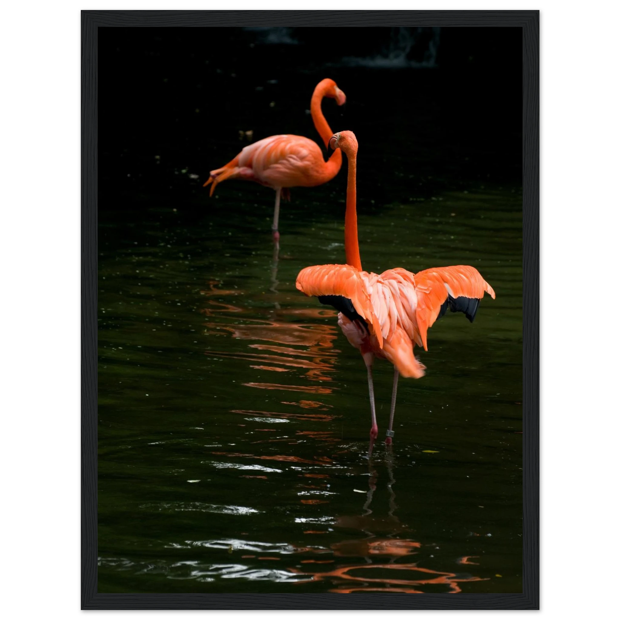 6003986e-f225-486c-96f2-878b9b9009da