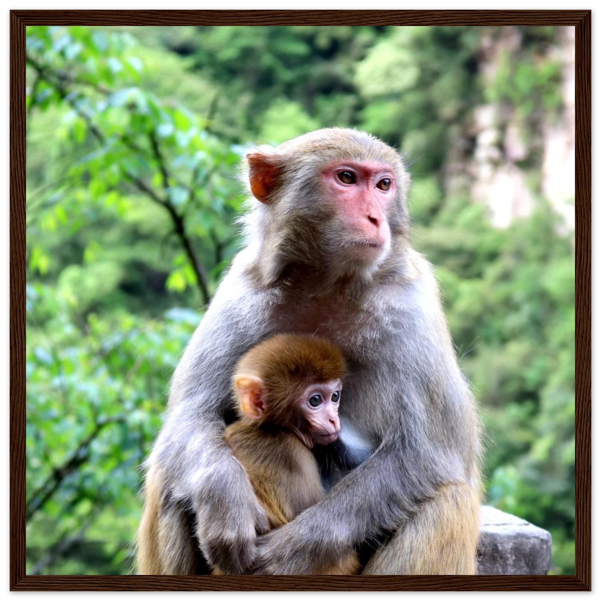 604b7388-bd72-4c31-bc5a-8fd5c365d057