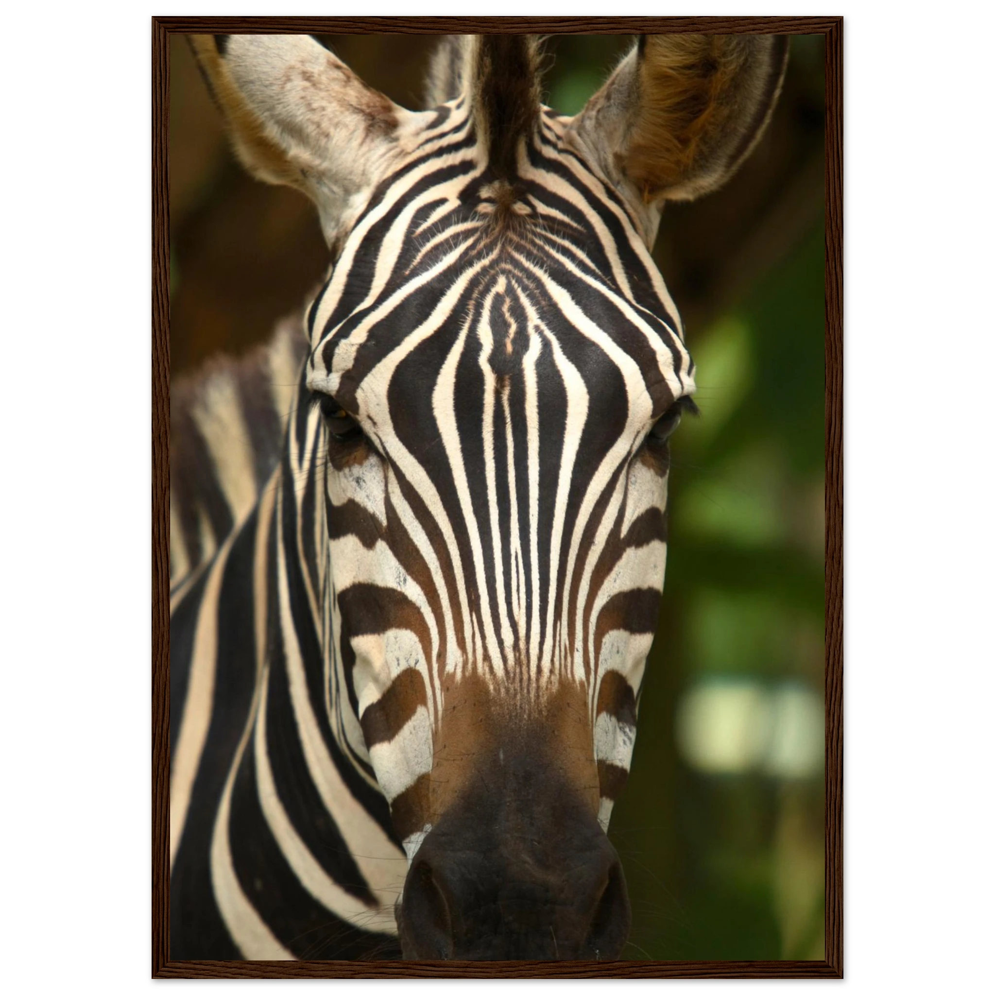 60796f7a-1610-429d-8eac-638aab1c483b