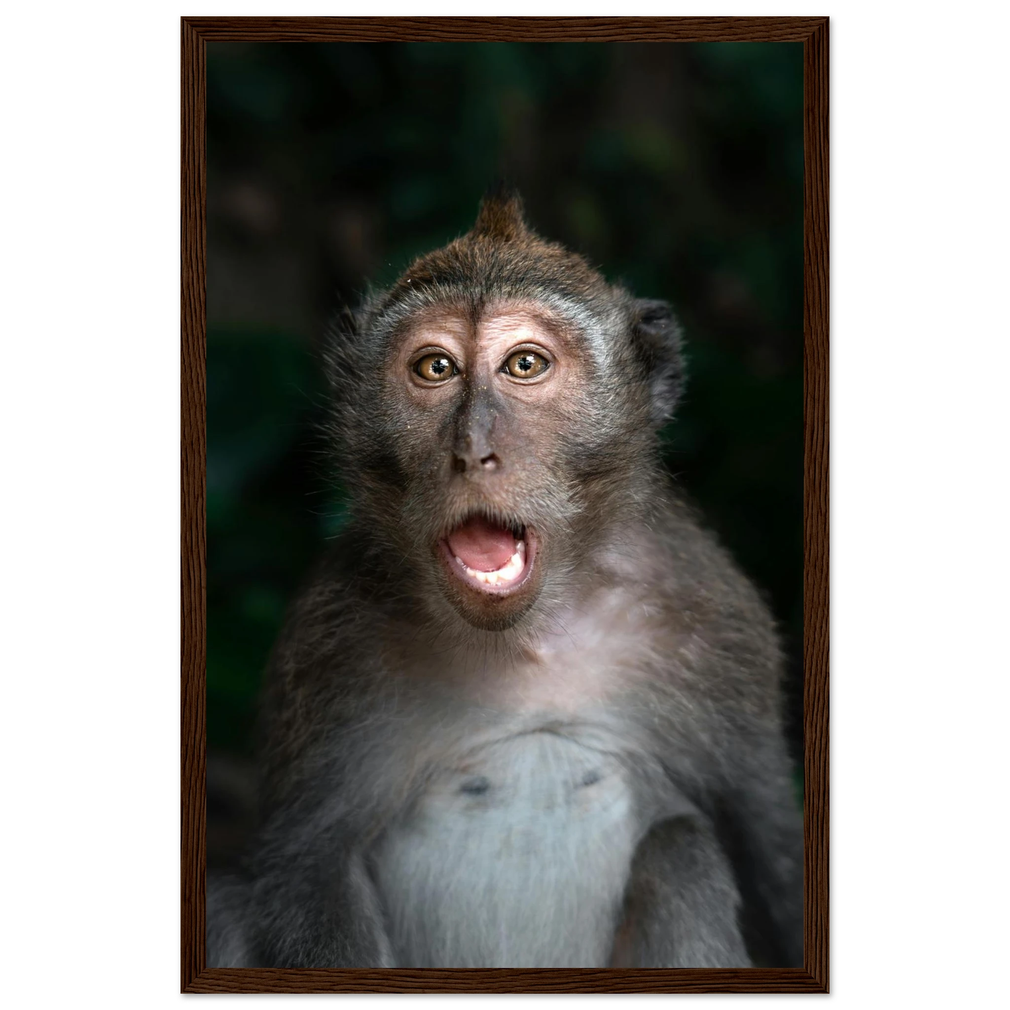 608c4875-ff60-4825-94de-53e271fdc295