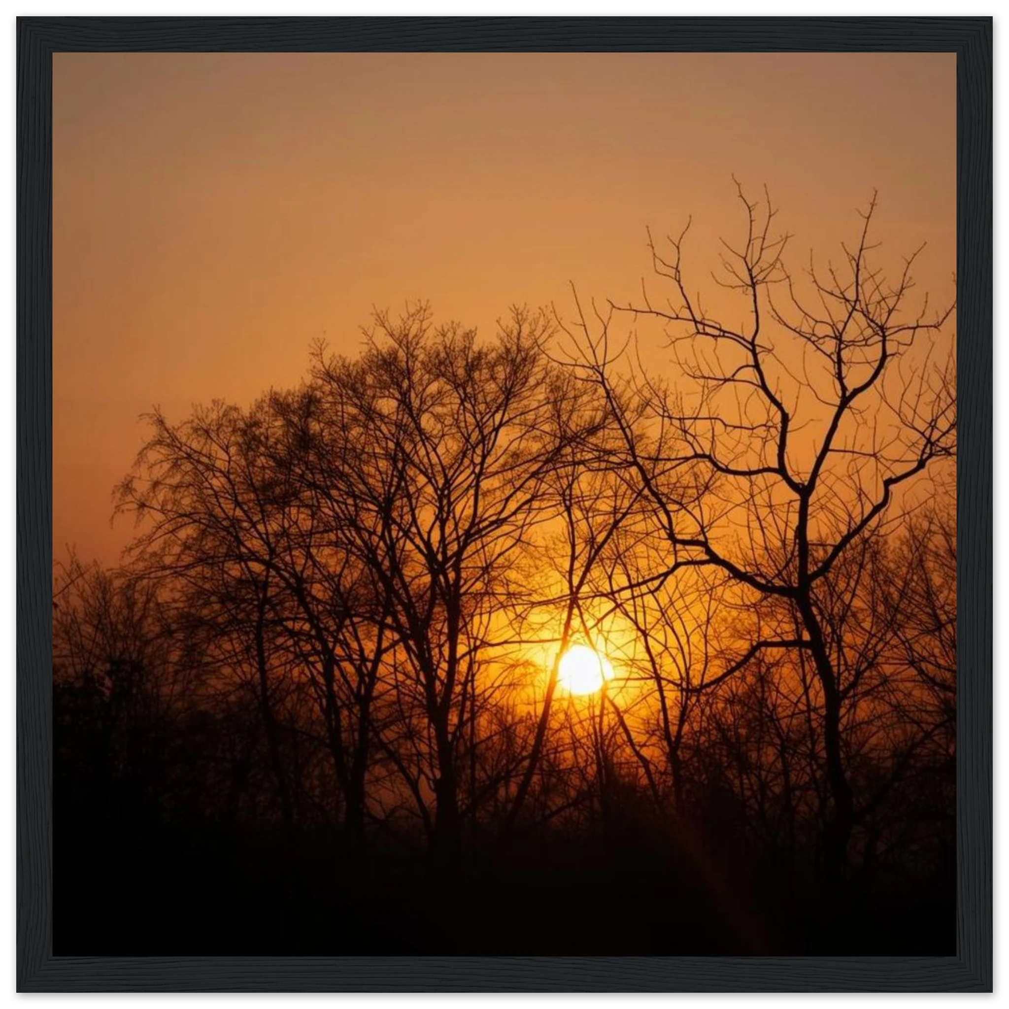 60c19ed4-e55a-46bc-b6dd-0891c5dcee3f