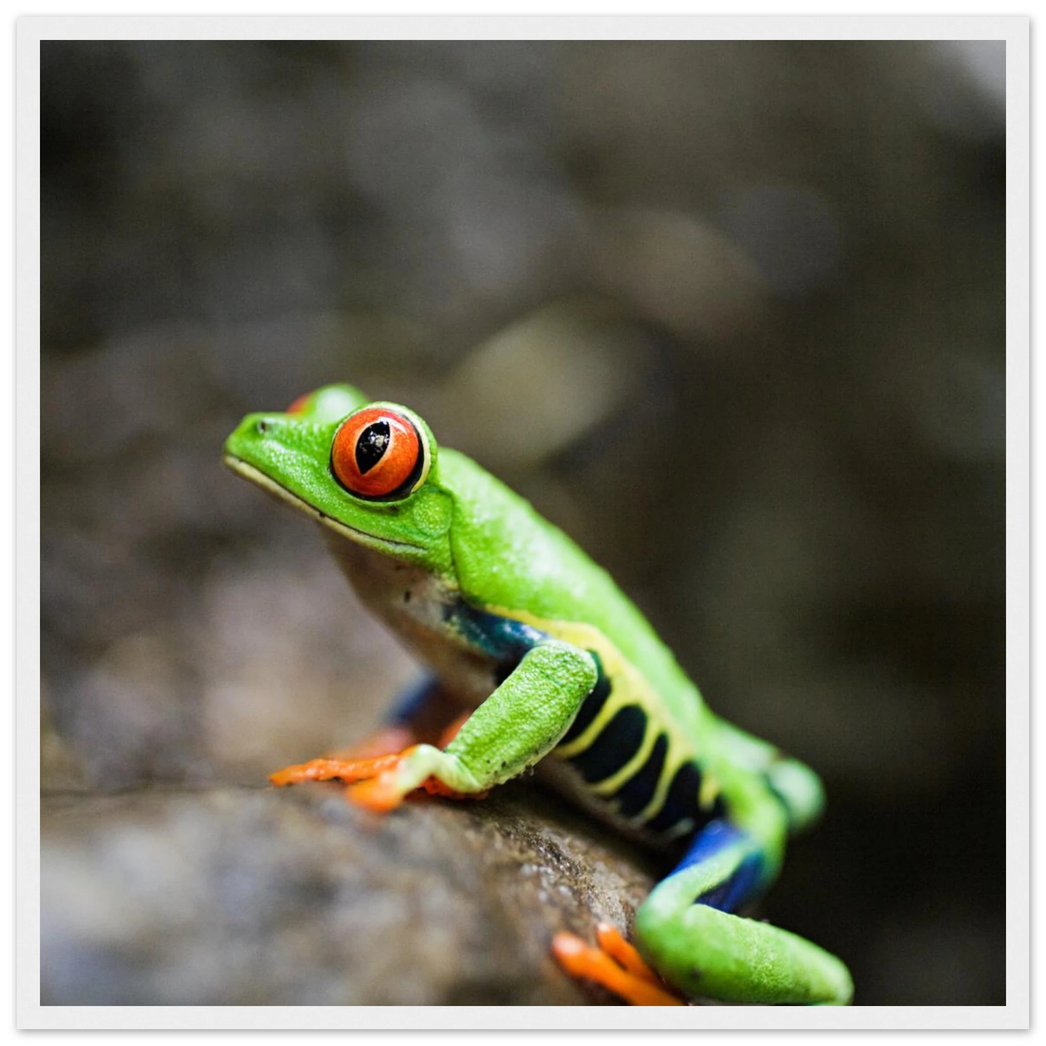 60c23c16-c165-4d8f-a578-fff67bce53d8