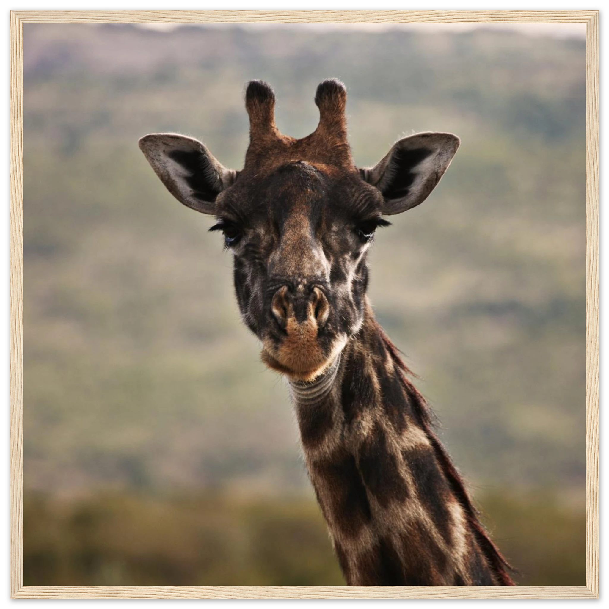 60cd0dd8-007b-4653-b764-b871a3af5ddd