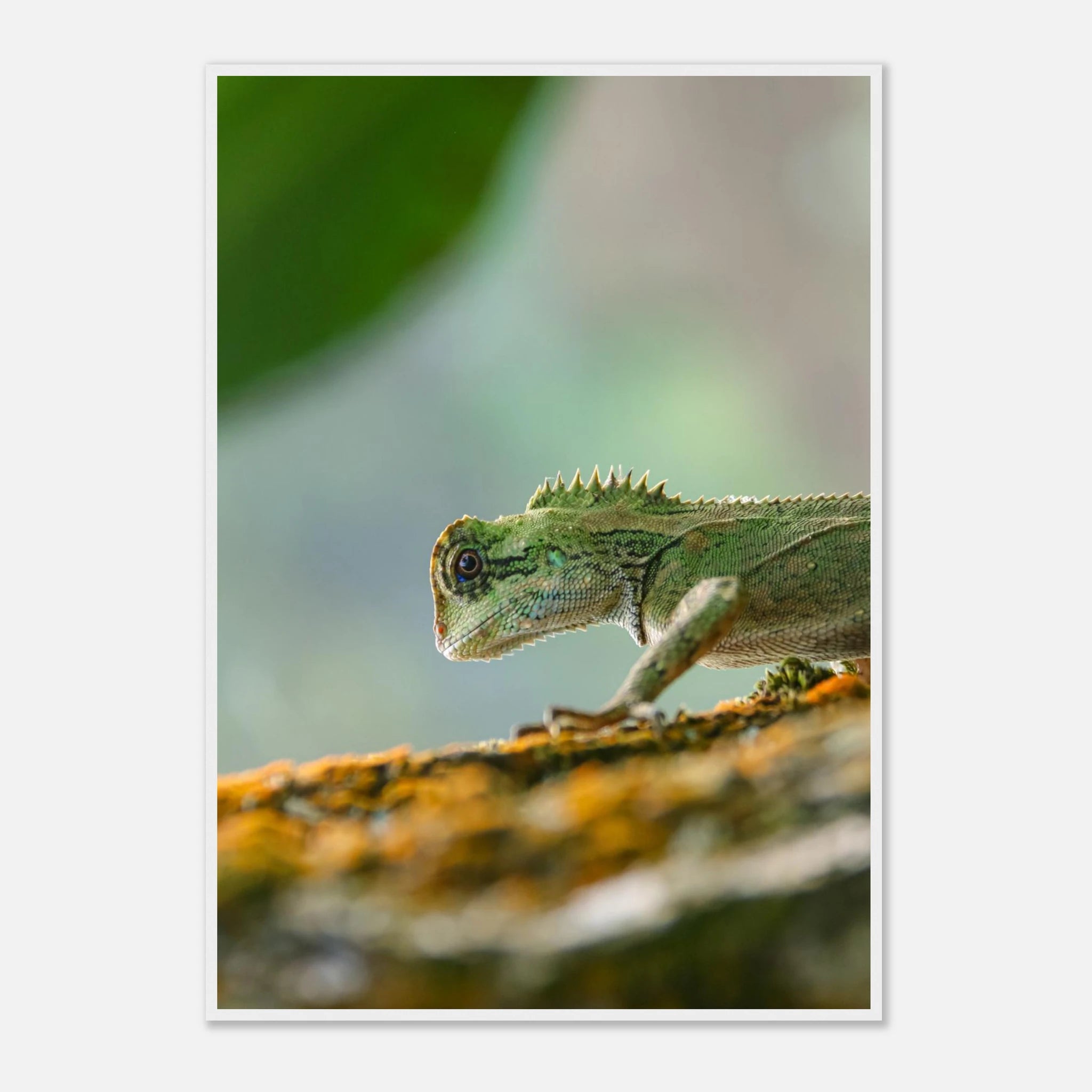 60d4bf5a-fd33-4901-a290-bfa15d35bc62