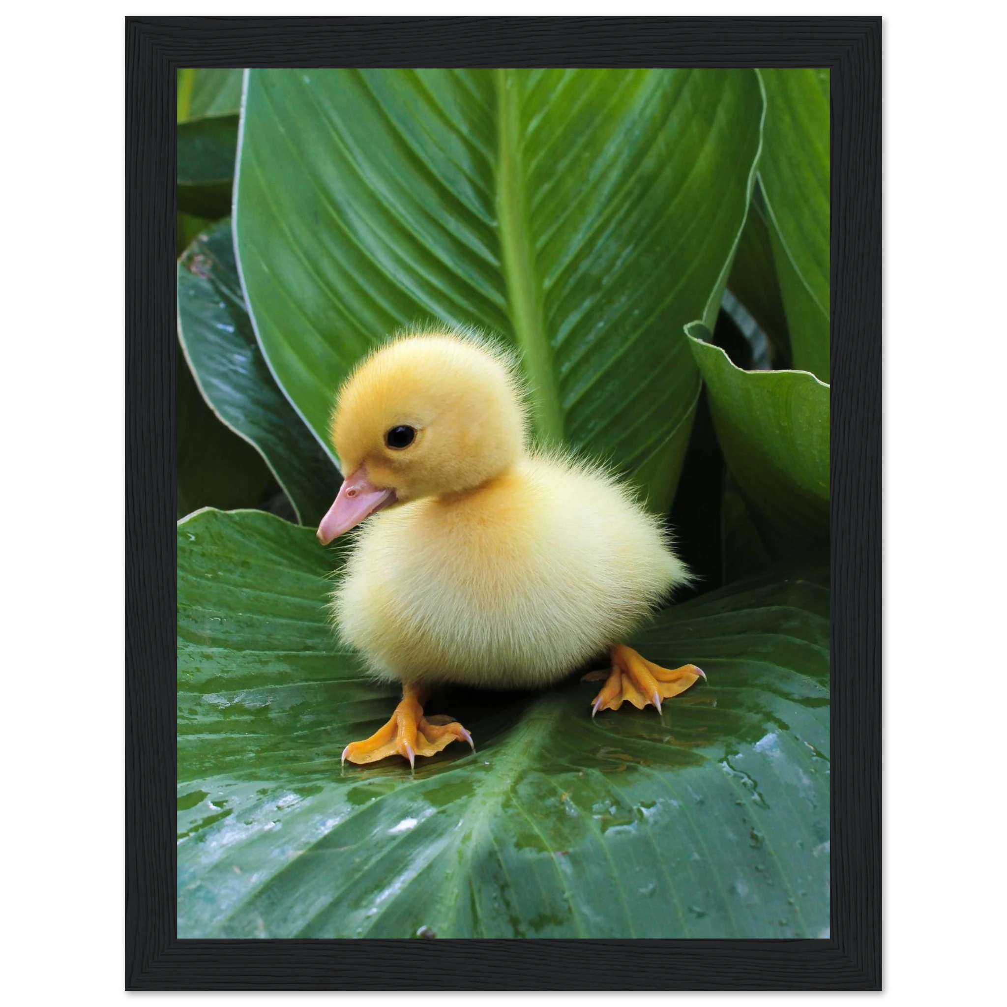 60e7769c-eed2-40ce-82c9-f79fe6099cc4