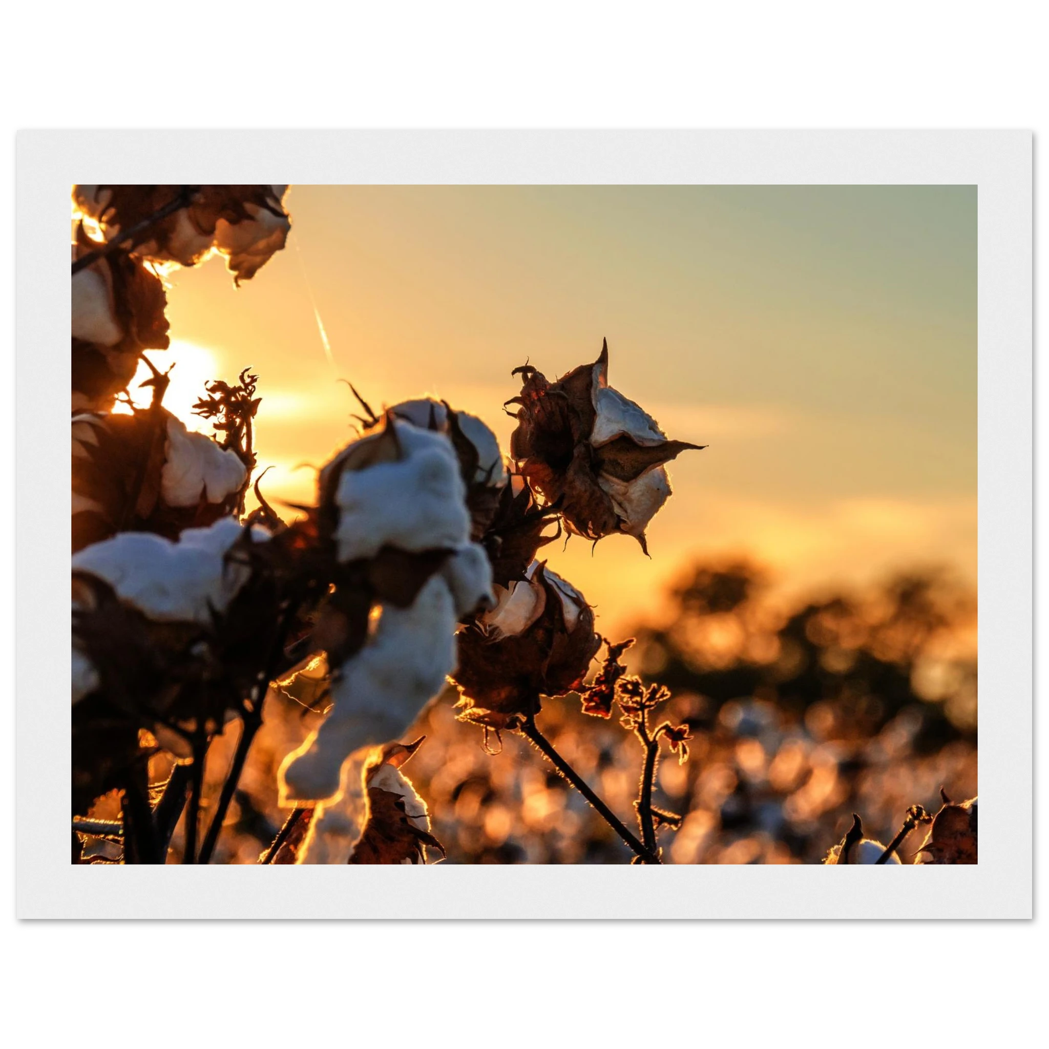 611e5ce9-318a-46a8-9120-e131cd54fc13