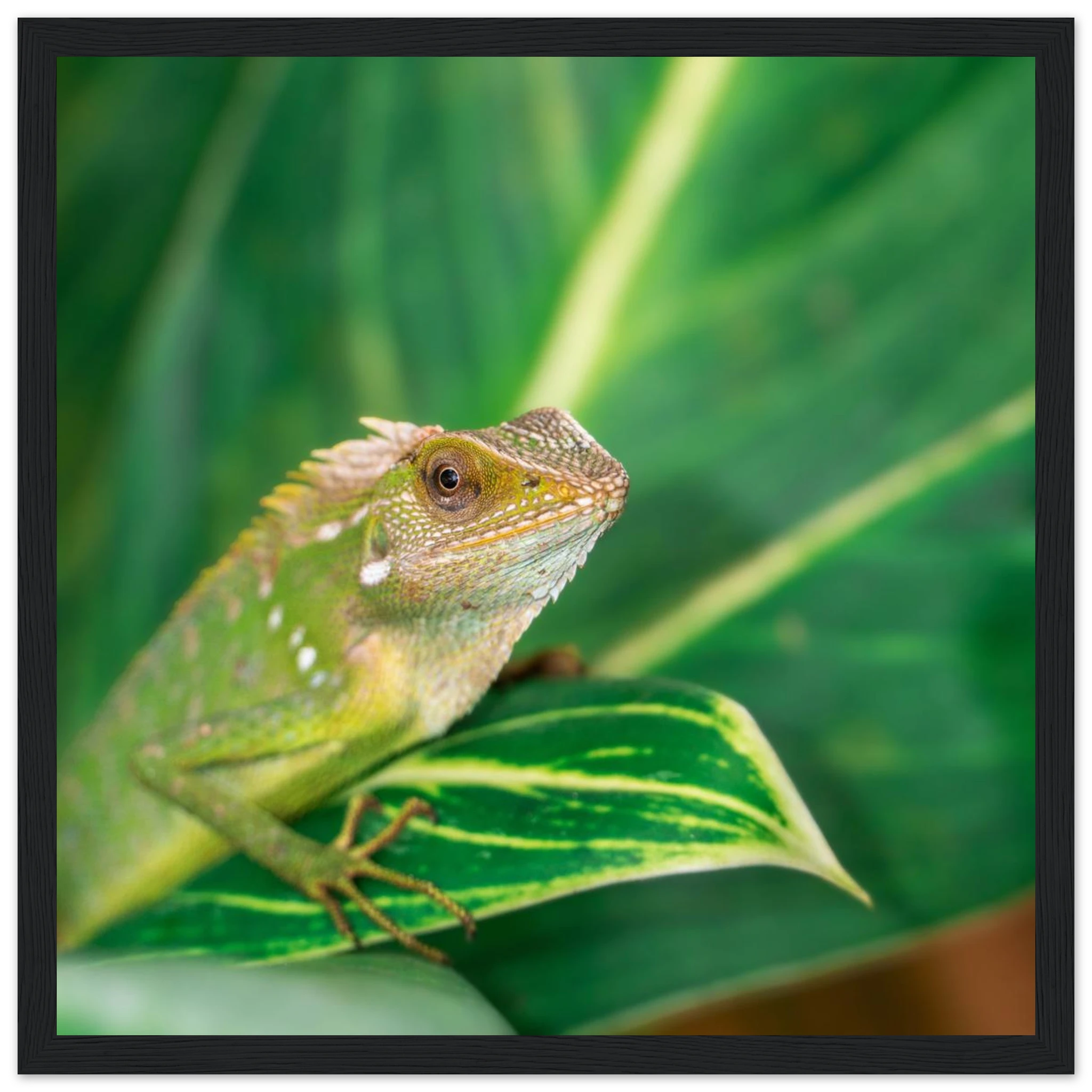 613a0838-6132-44ff-96d3-3f5c806f9bde