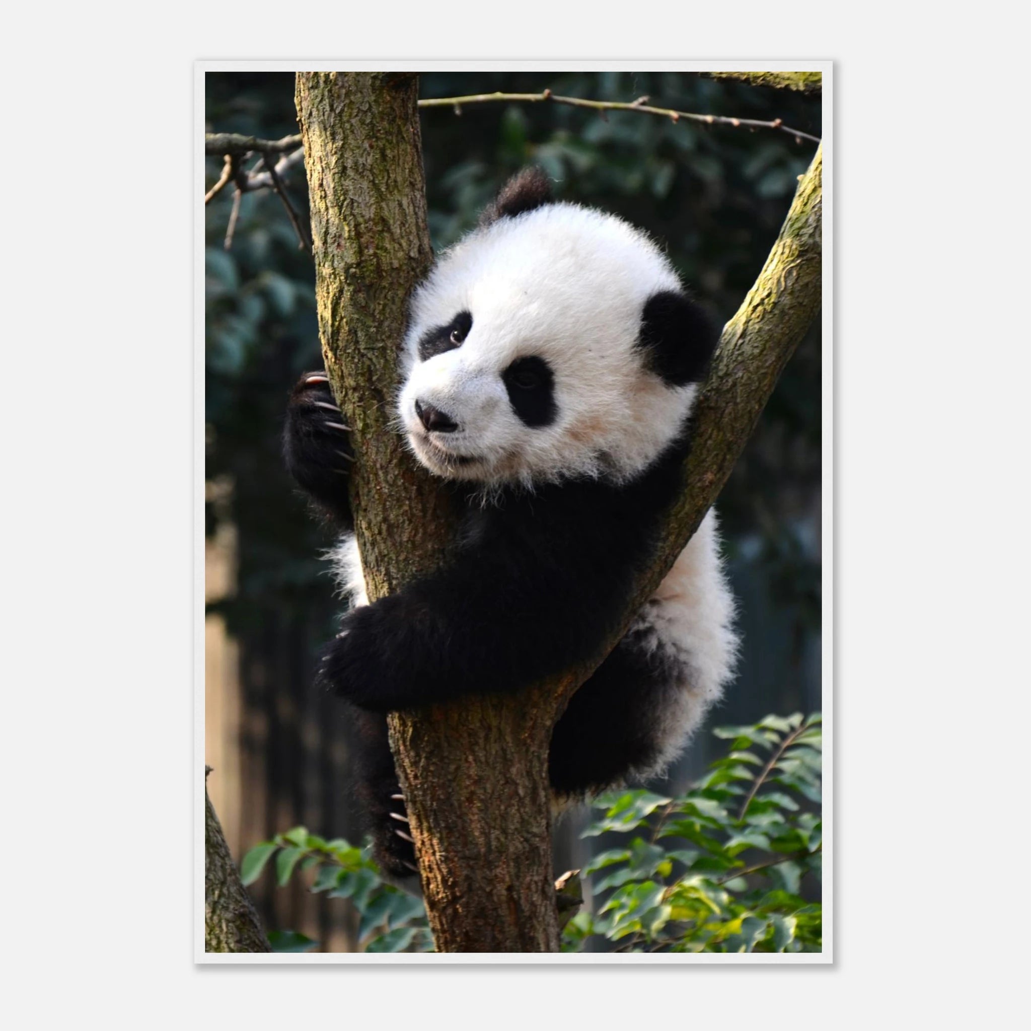 614c6391-dee4-49d5-a977-81bfe6bc61f0